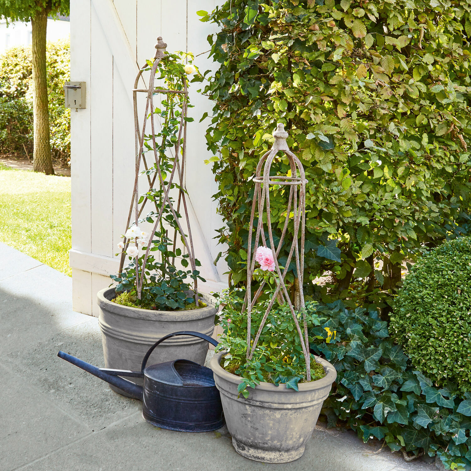 Rankengeleider set van 2 Zélie