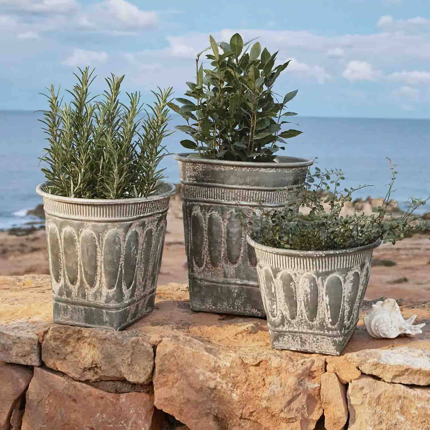Drie decoratieve bloempotten van grijs verouderd metaal met groene planten bij zeezicht