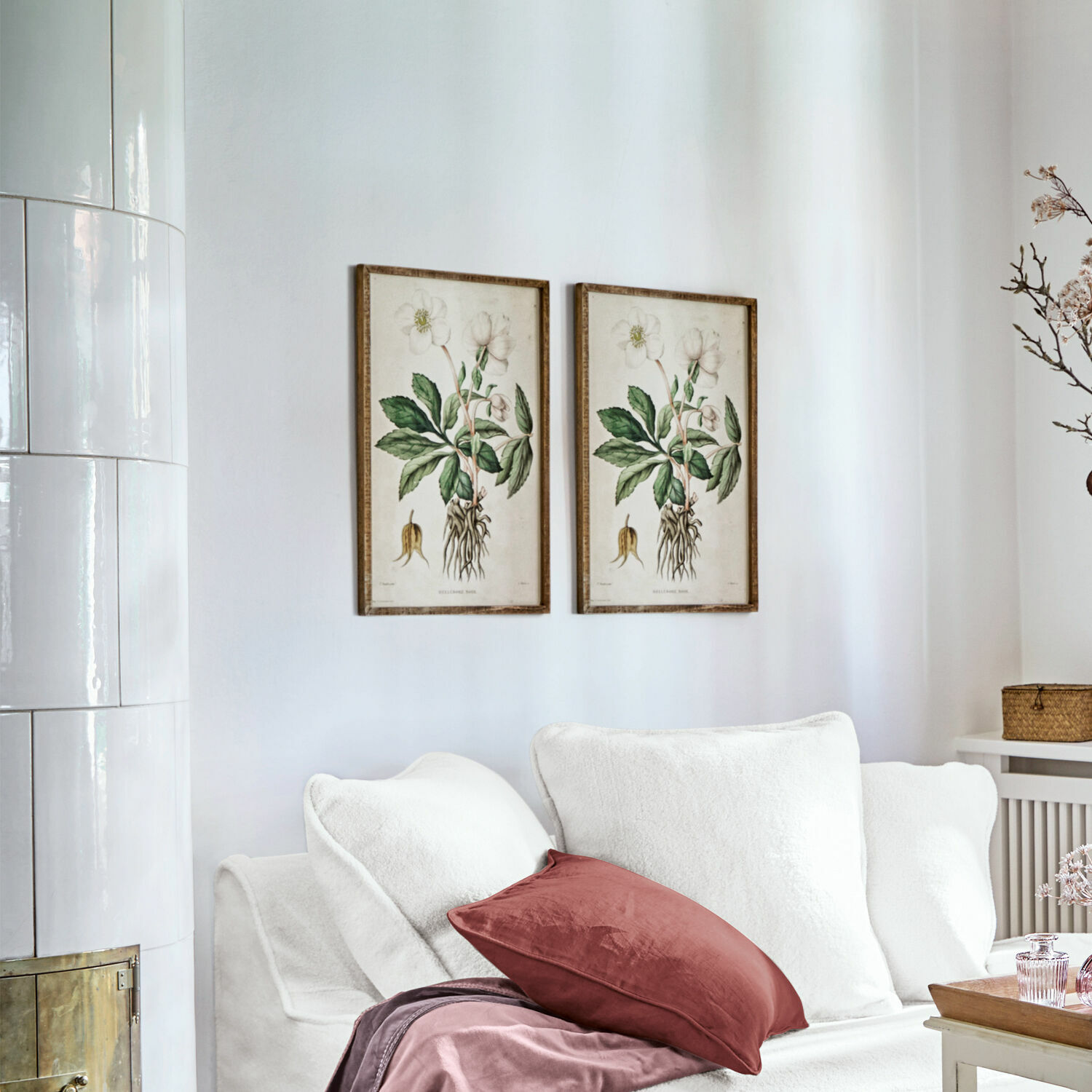 Afbeelding Hellebore