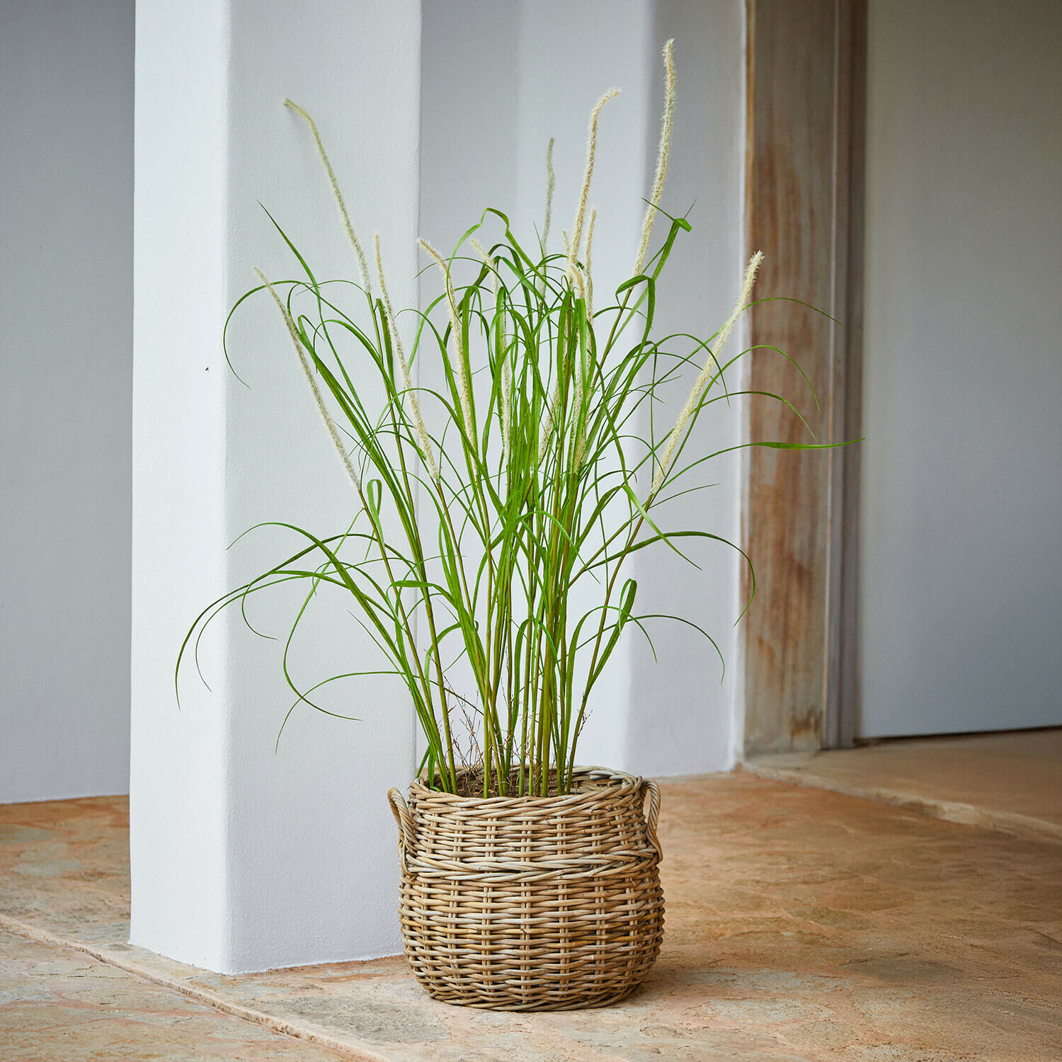 Groen siergras in een gevlochten mand op stenen vloer, binnenhuisdecoratie