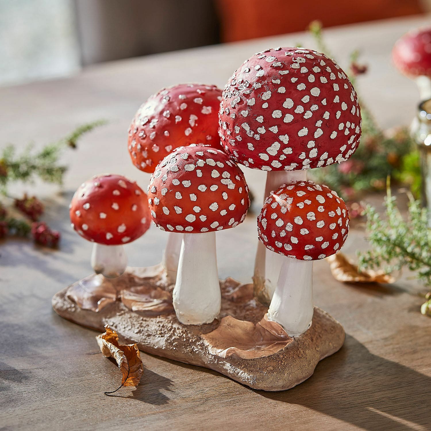 Sierpaddenstoelen Quintelle