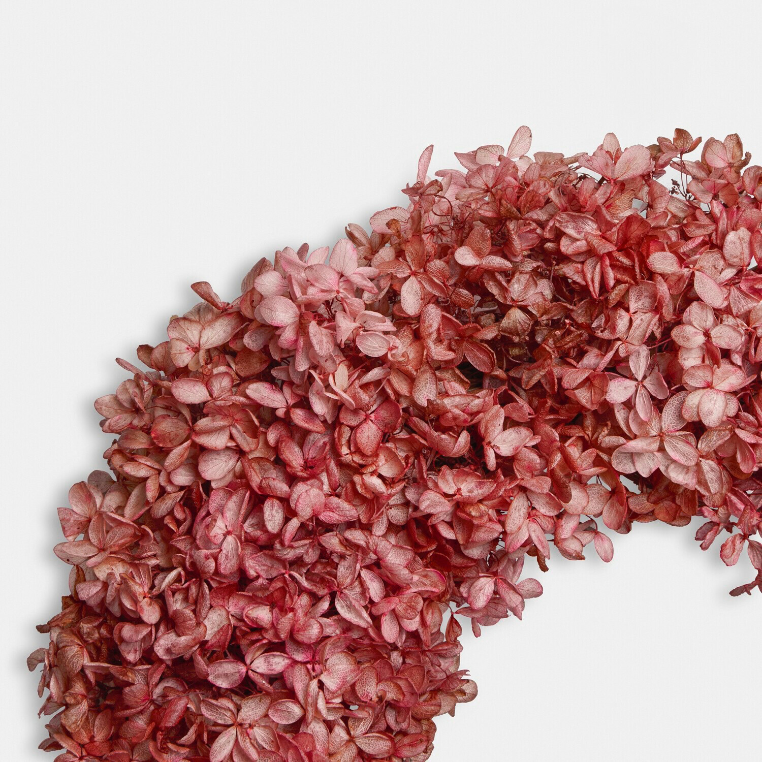 Droogbloemenkrans Amélorie