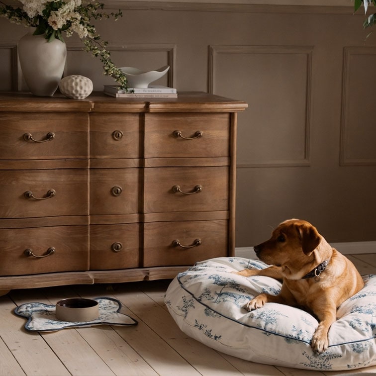 Bruine hond liggend op wit, patroon kussen naast een vintage houten ladekast