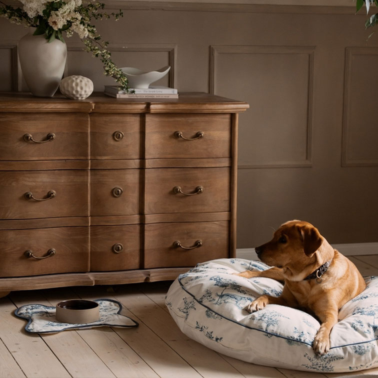 Bruine hond liggend op wit, patroon kussen naast een vintage houten ladekast