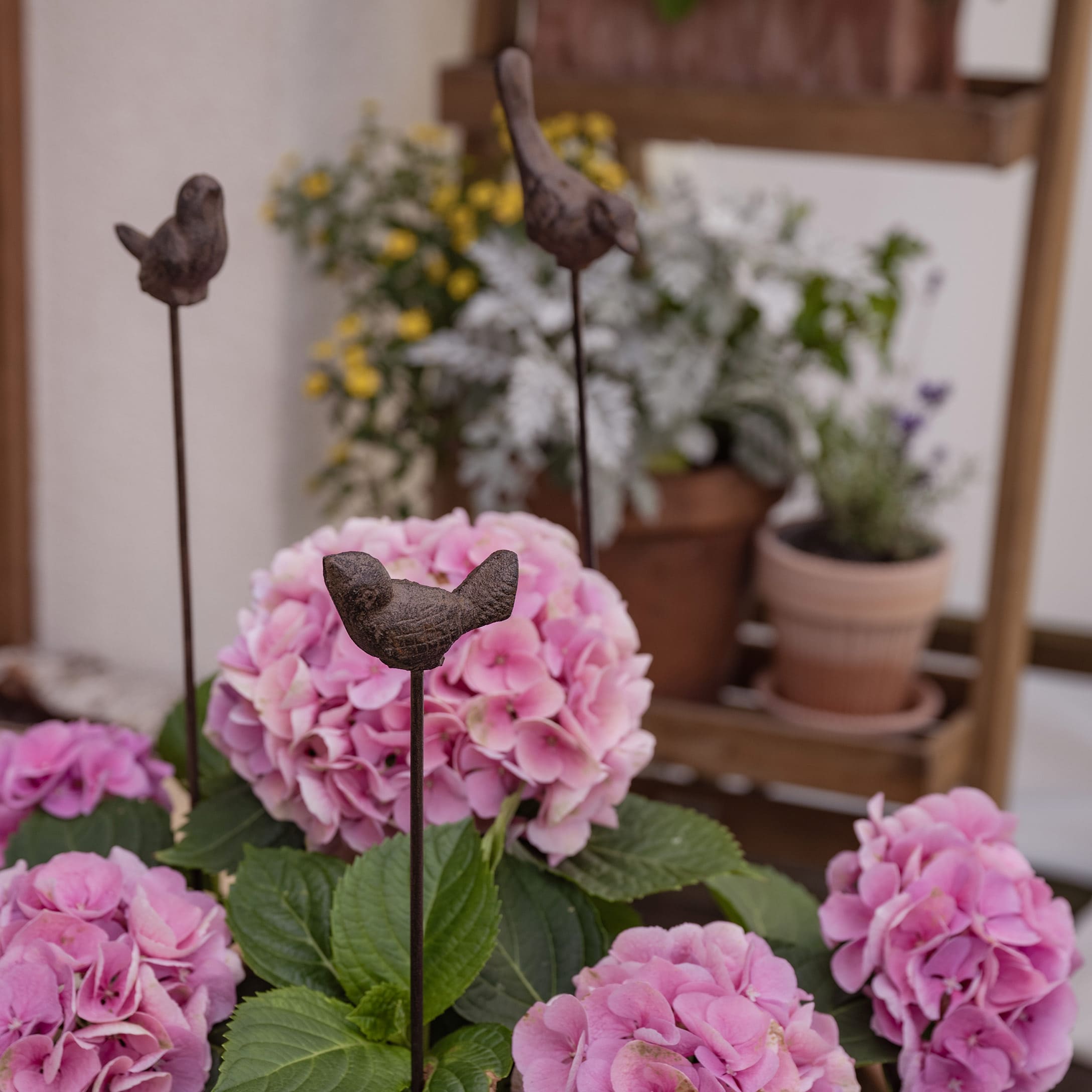 Decoratieve metalen vogeltjes op stokken tussen roze hortensia bloemen in de tuin