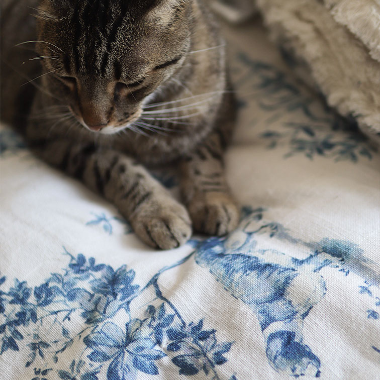 Grijze gestreepte kat op wit textiel met blauw bloemenpatroon, zachte woondecoratie