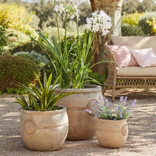 Drie beige terracotta potten met groene planten en witte bloemen in een buiten tuin