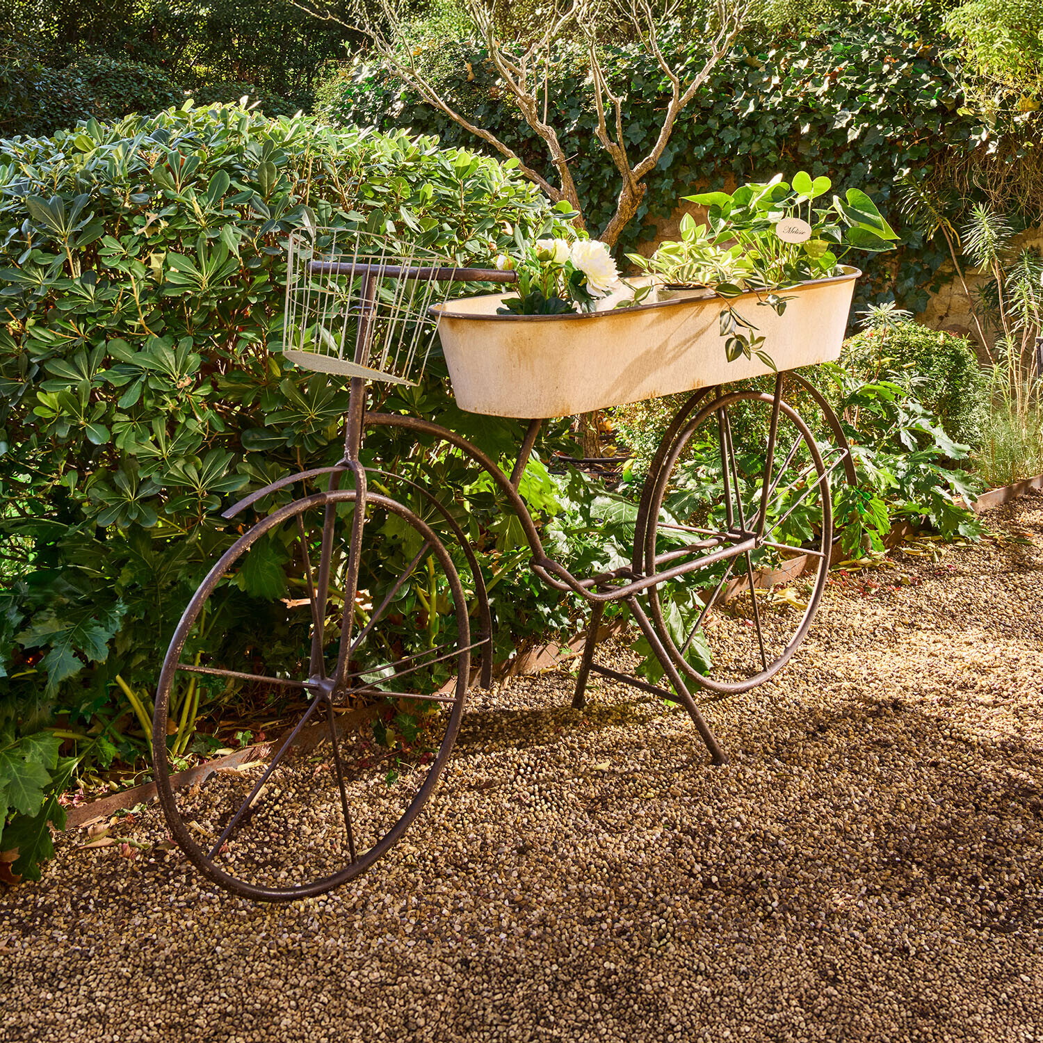 Decoratieve metalen fiets met witte plantenbak en groene planten op grindpad in tuin