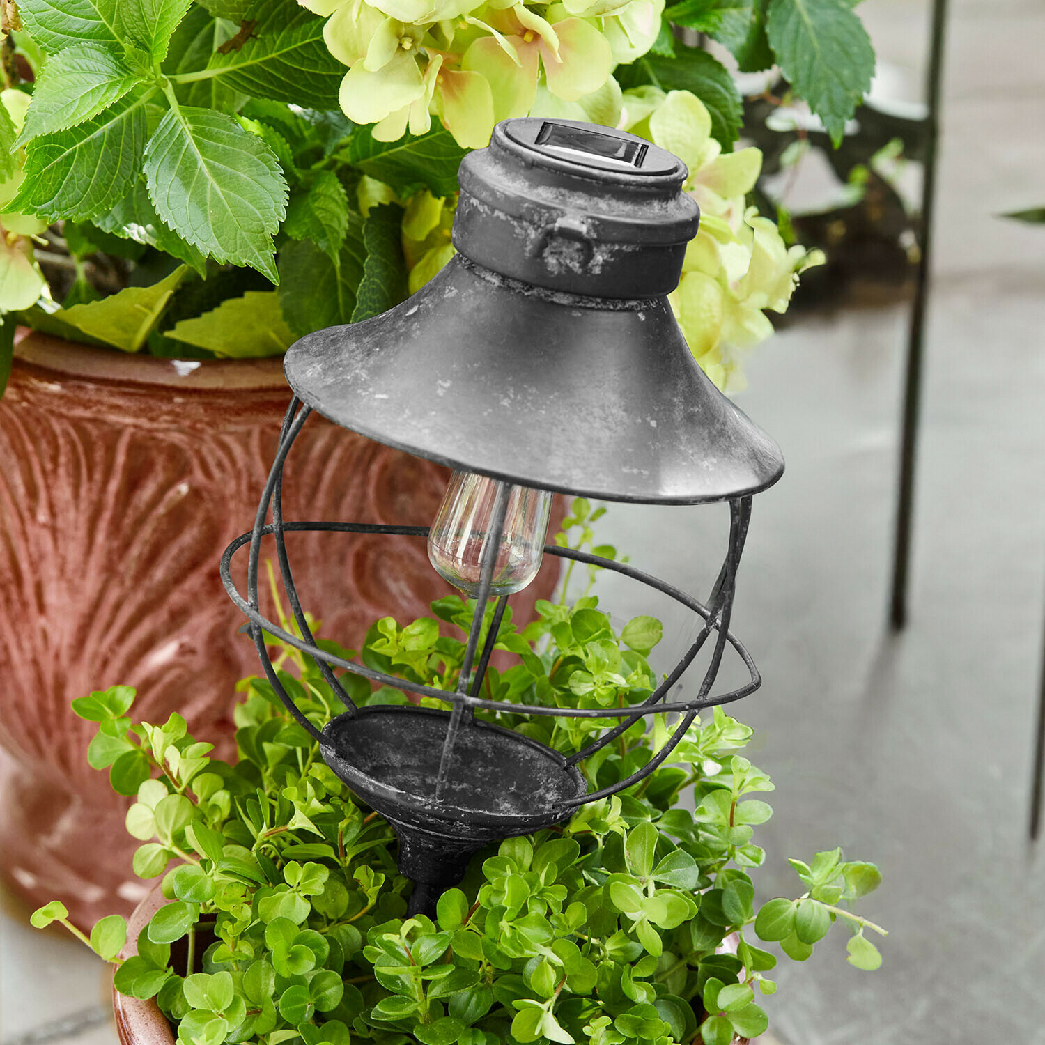 Zwarte metalen tuinlamp met kap en gloeilamp, geplaatst in een pot met groene planten