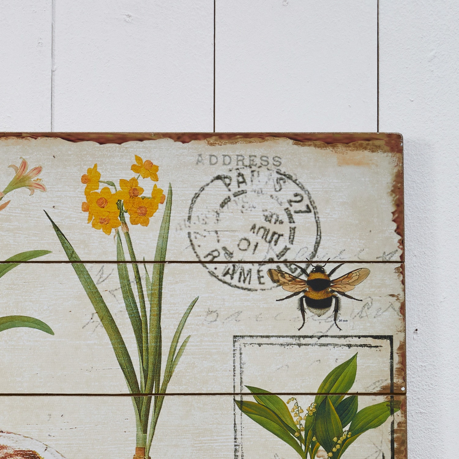 Decoboard Botanical Garden