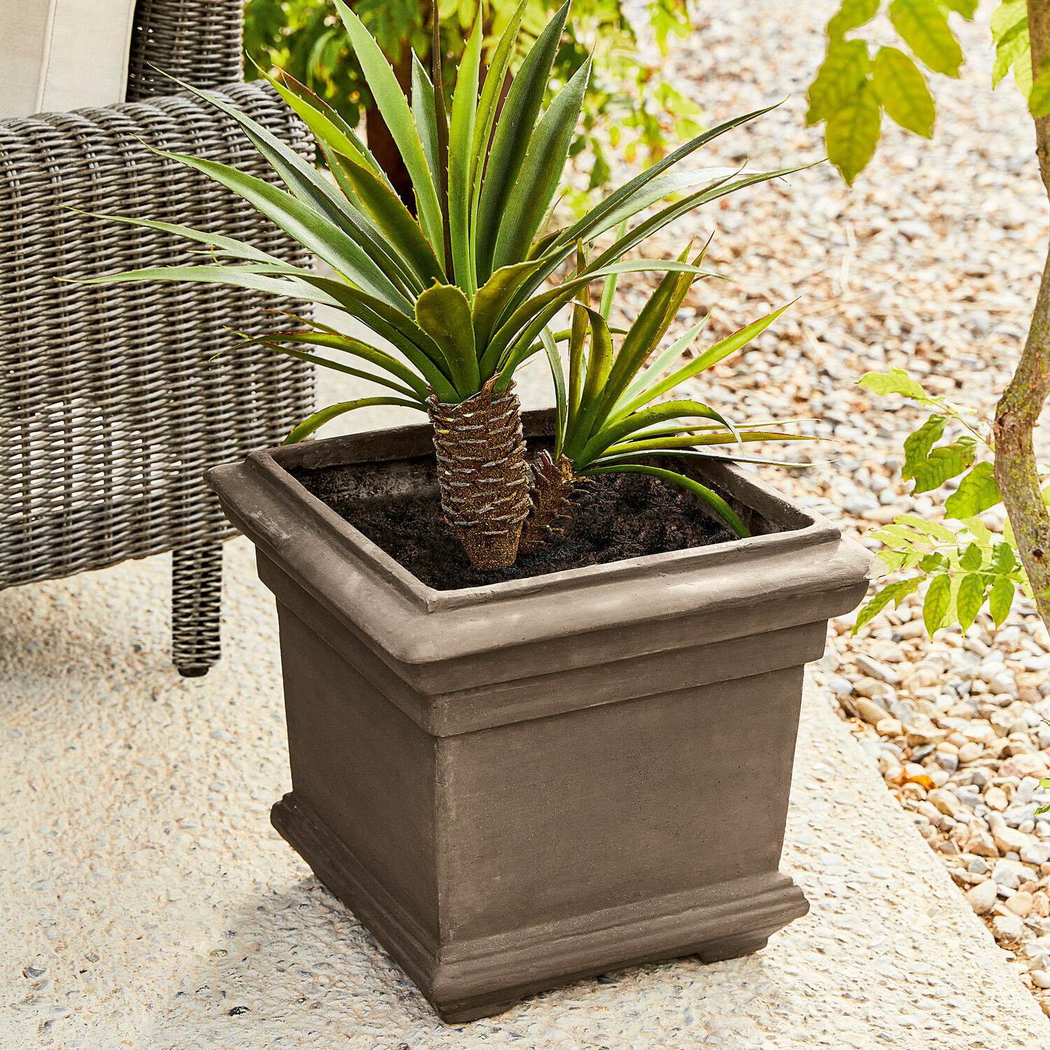 Sierpot Magnum