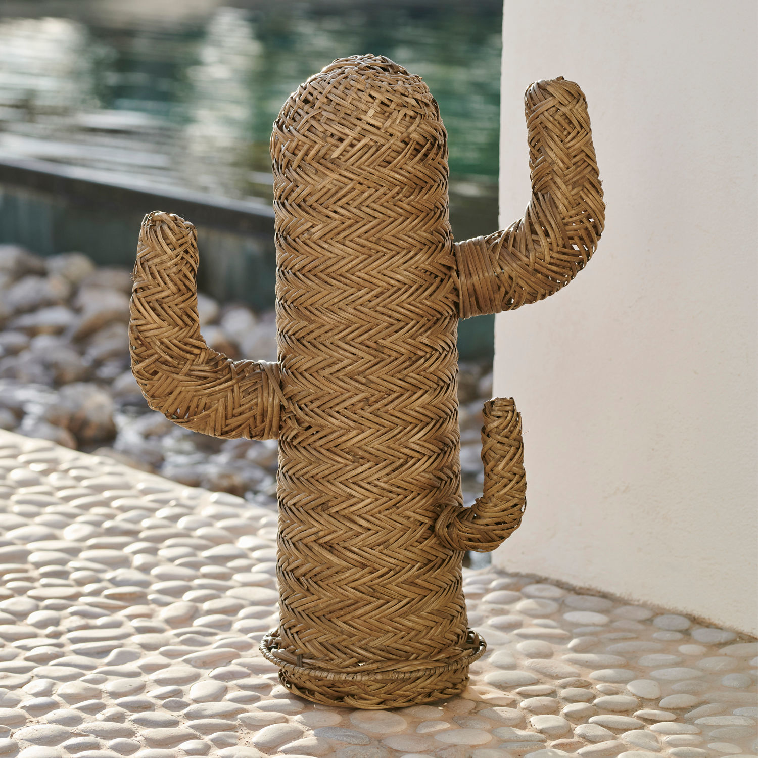 Siercactus Basse