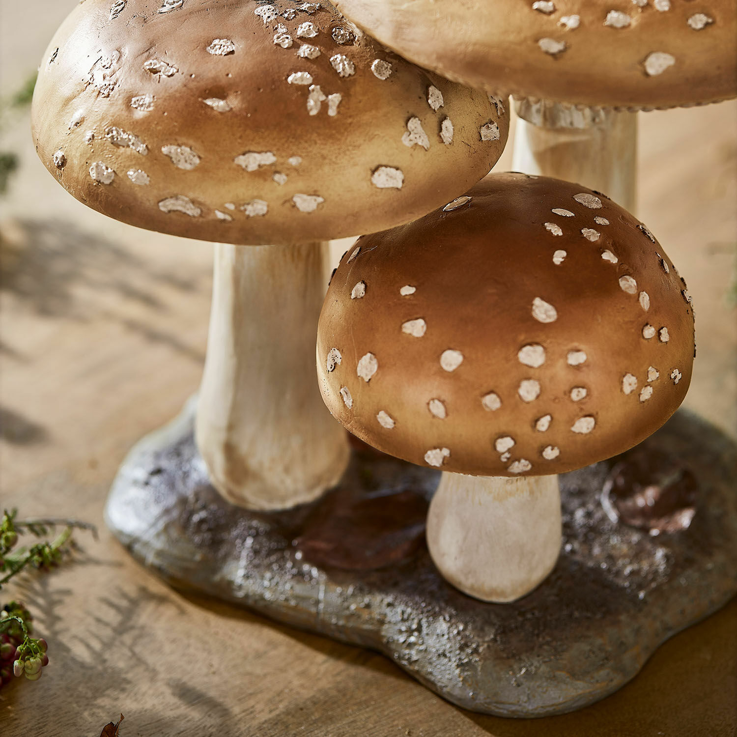 Sierpaddenstoelen Harvelle