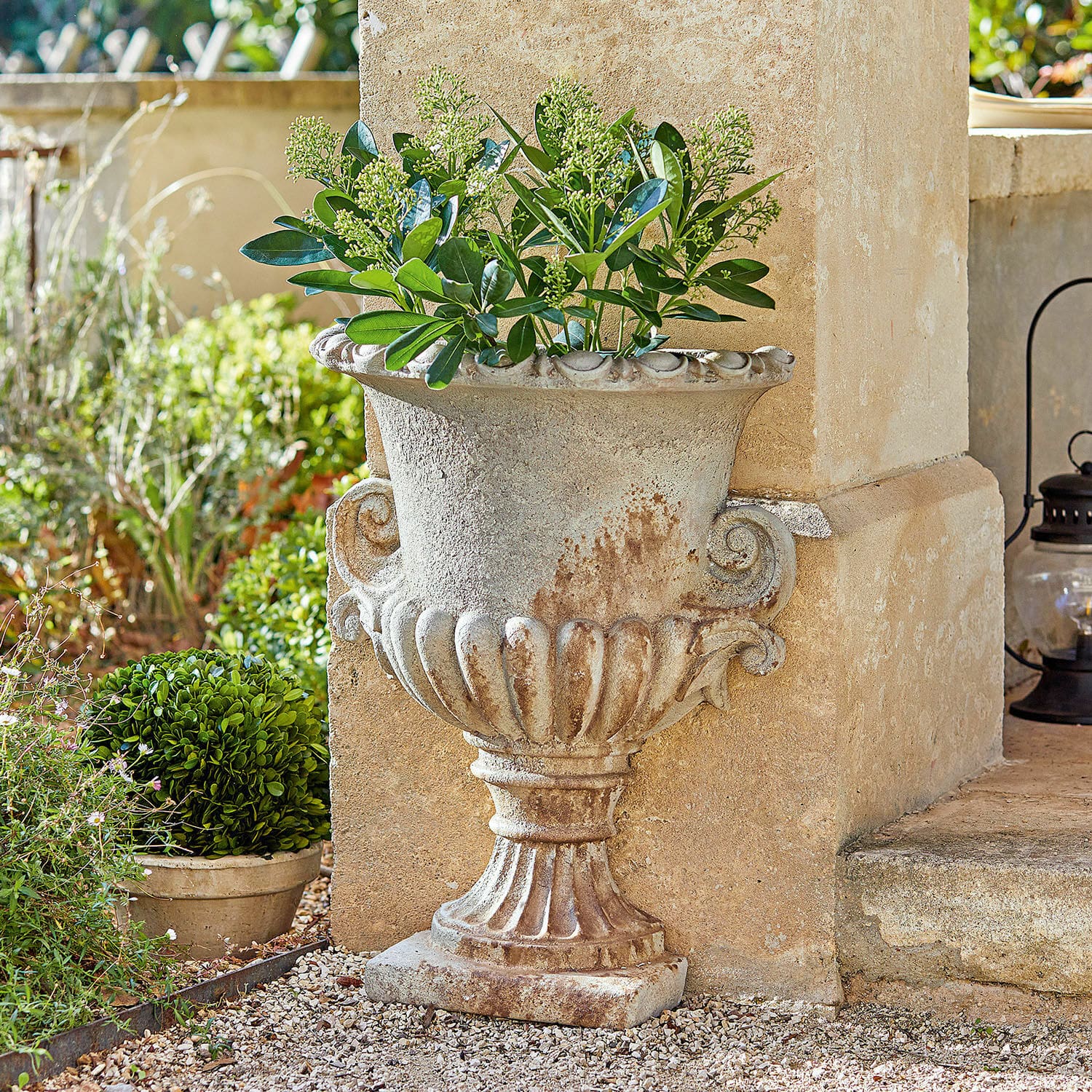Amfoor Cevio Decoratieve bloempot van beige steen met groene planten voor de tuin