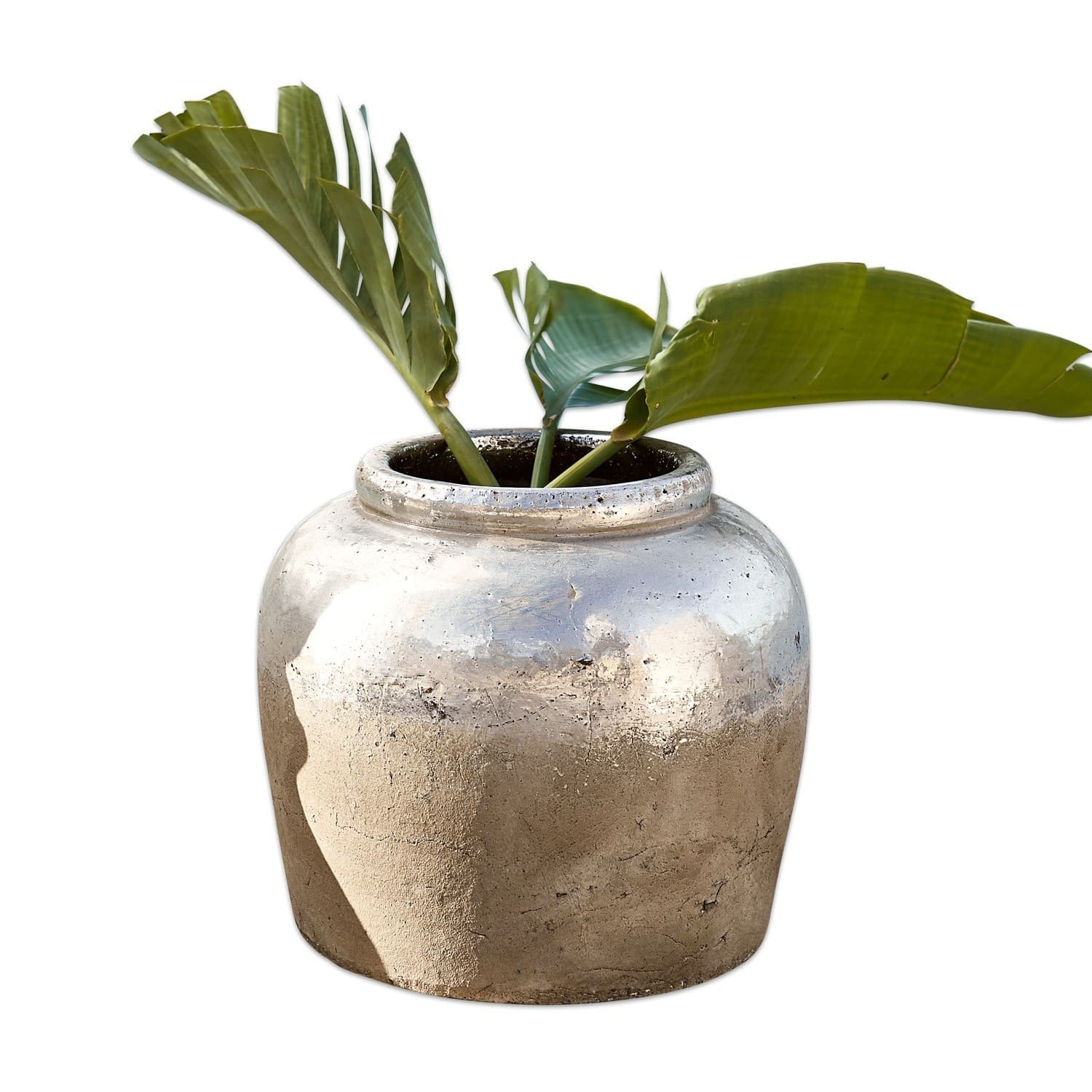 Sierpot Ella