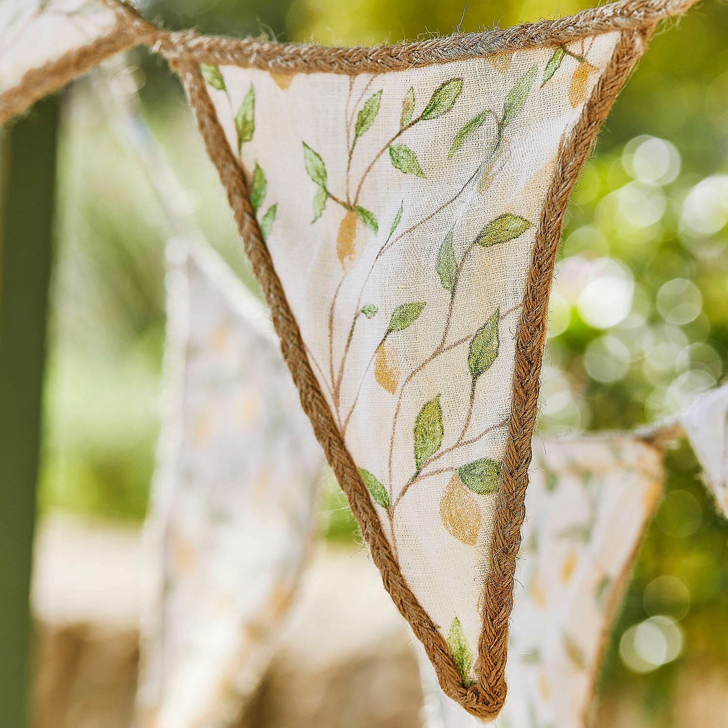 Vlaggenlijn Aelindria