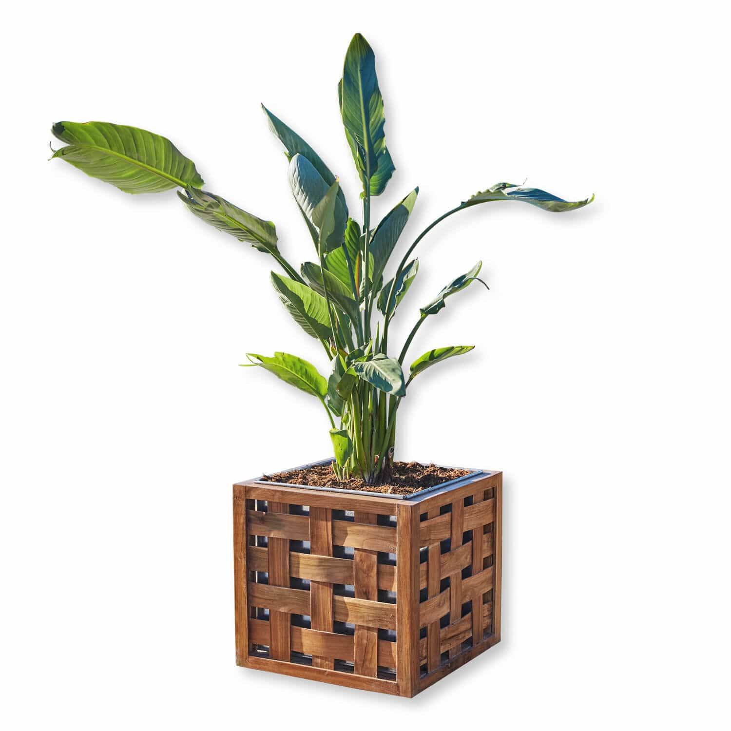 Sierpot Henry