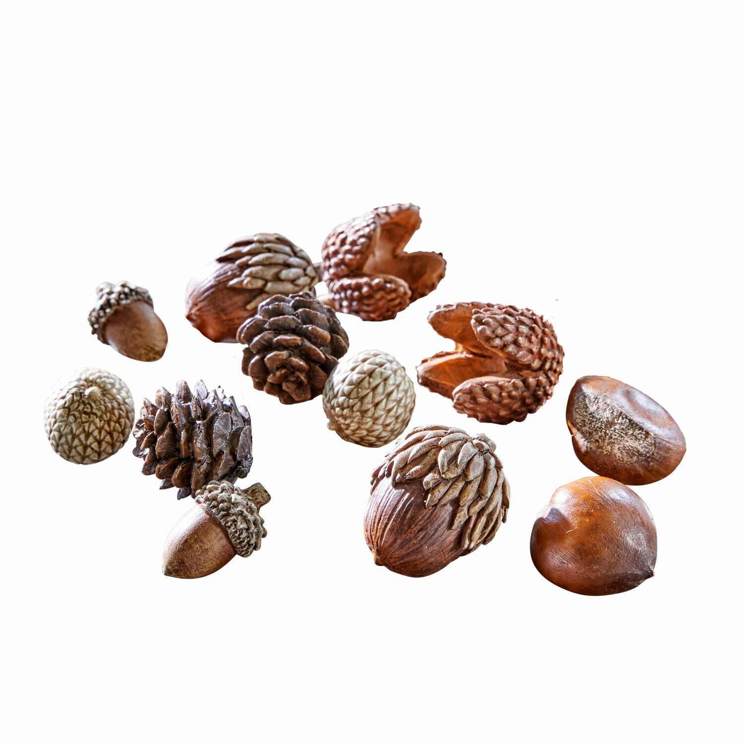 Herfstdecoratie set van 12 Vibius Decoratieve set van noten en dennenappels in natuurlijke bruine tinten op witte achtergrond