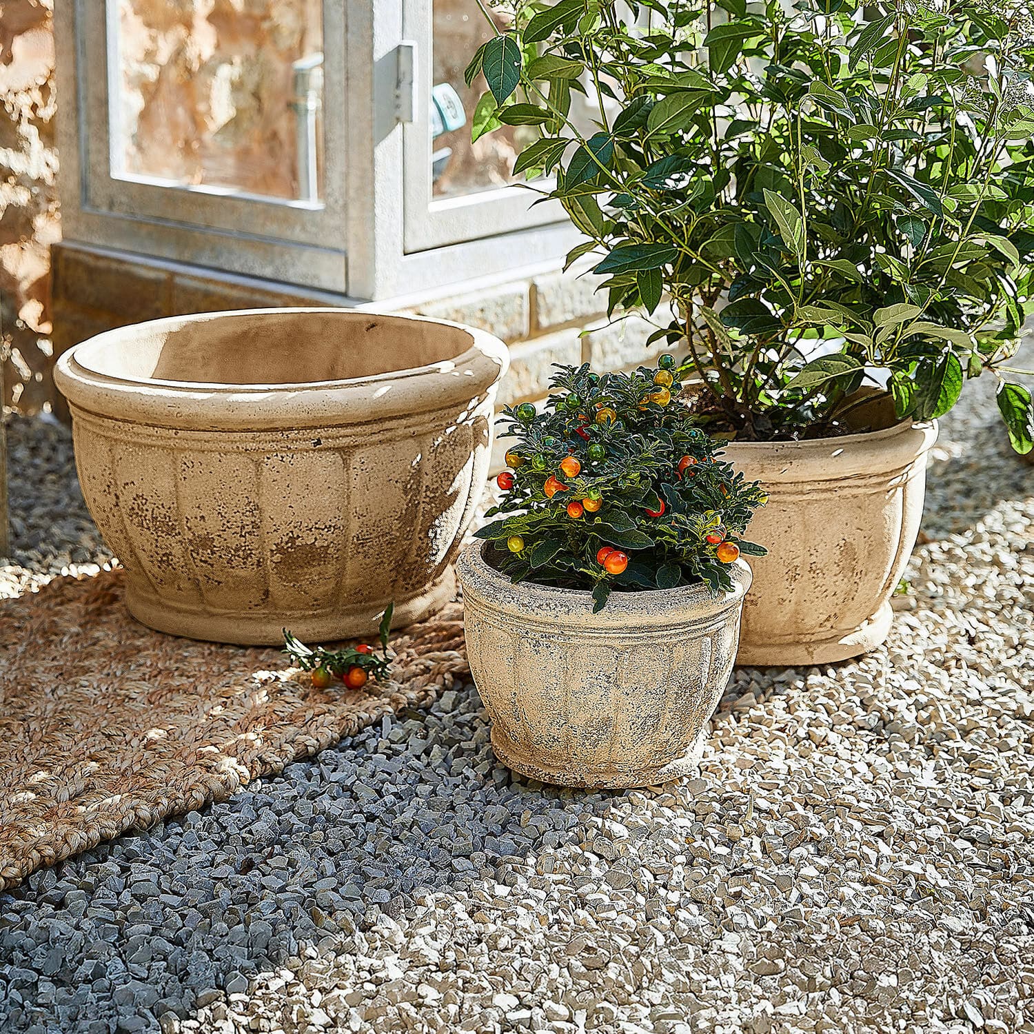 3-delige set bloempotten Jalexin Drie beige terracotta potten op grind, twee met decoratieve planten en kleurrijke bessen