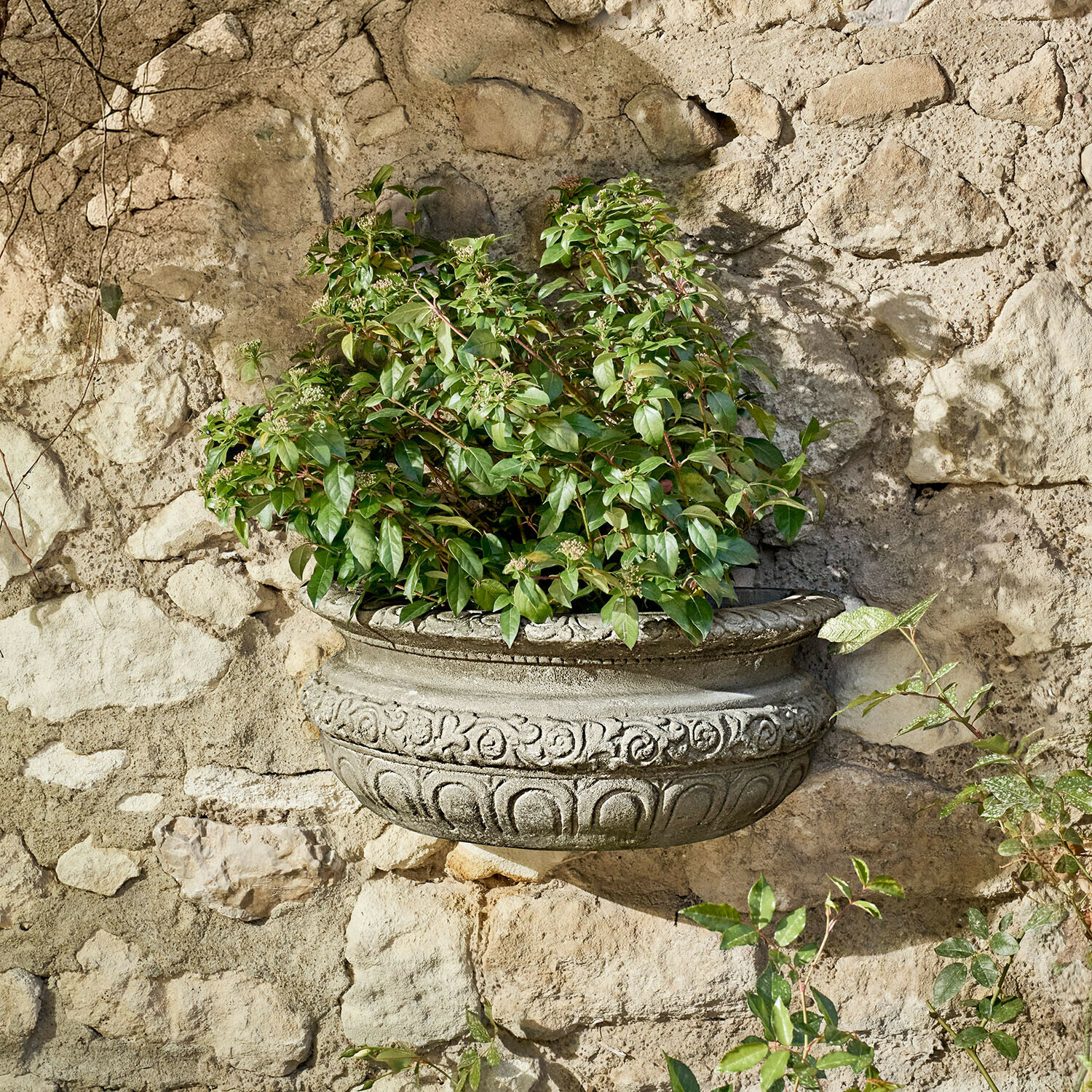 Decoratieve betonnen wandbloempot met groene bladeren tegen een rustieke stenen muur
