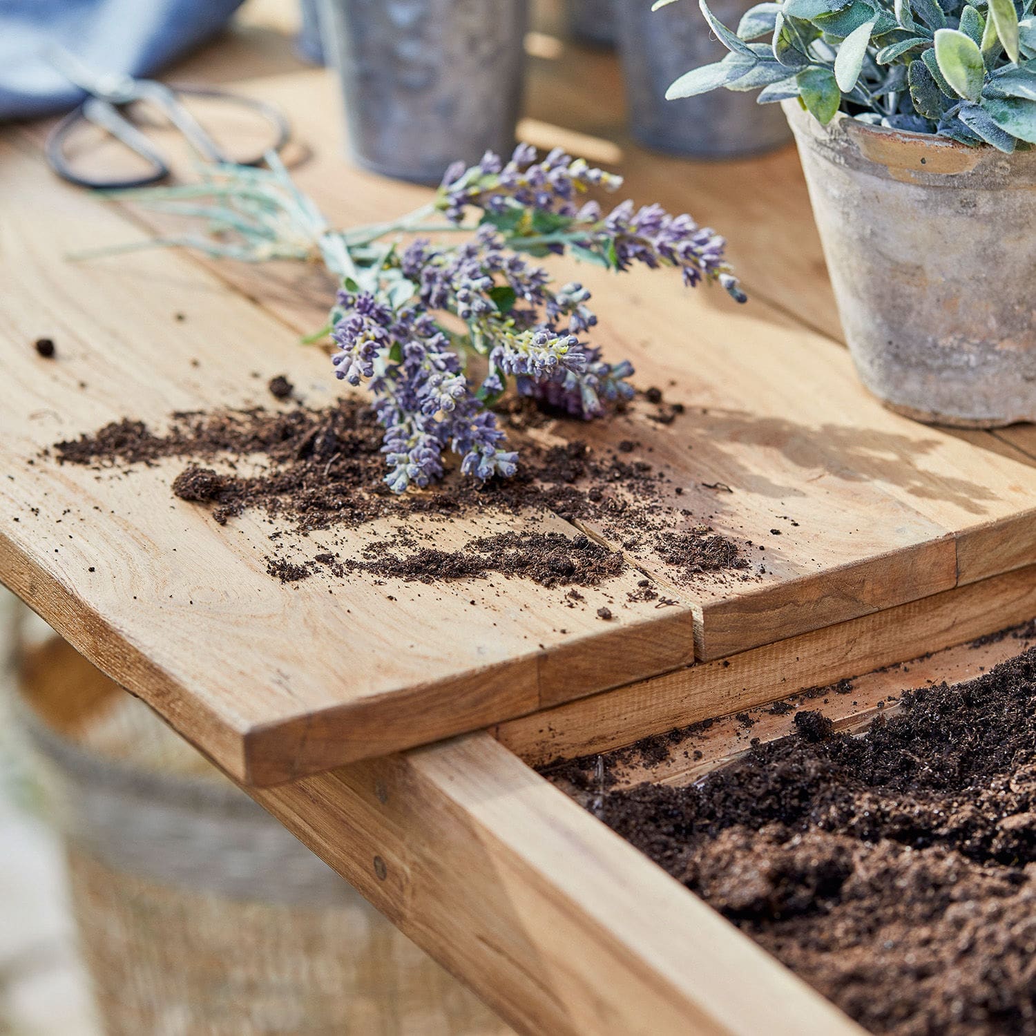 Plantentafel Mathéo