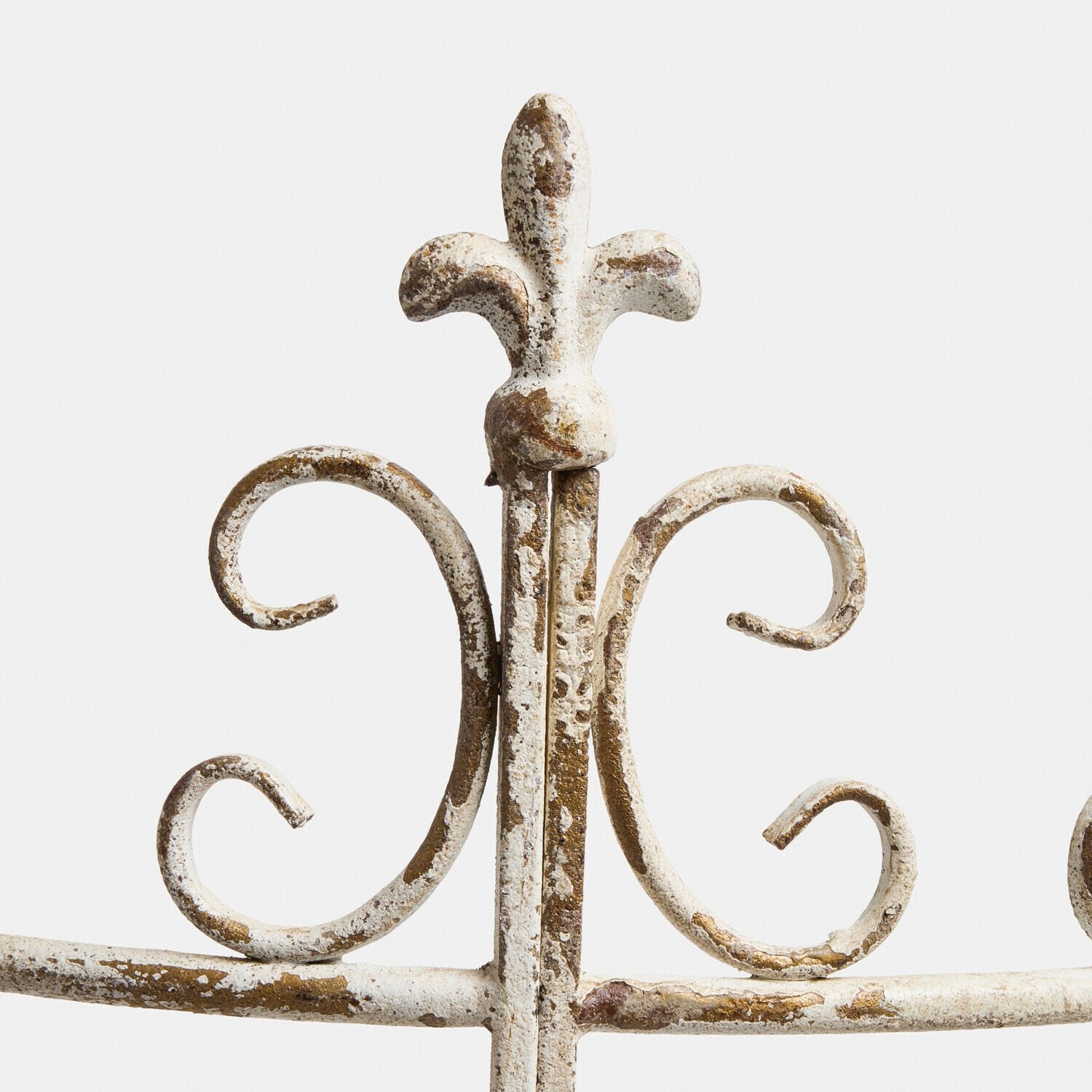 Klimplantenrek Bramwell