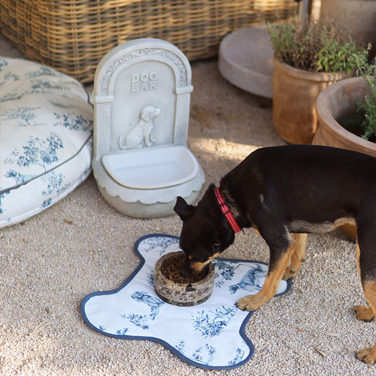 Zwarte hond met rode halsband eet uit stenen voerbak op wit kleed met blauw patroon