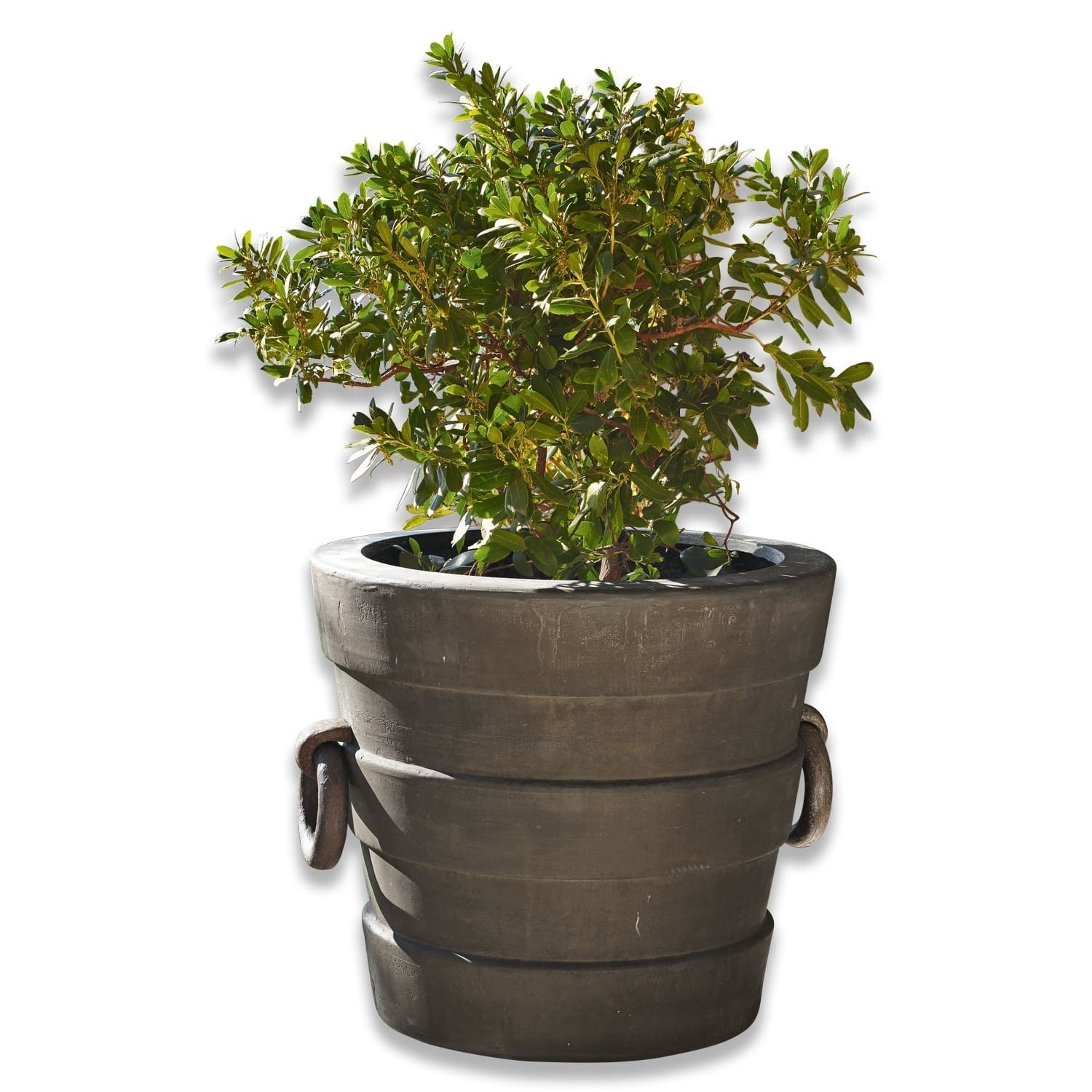 Sierpot Malcolm