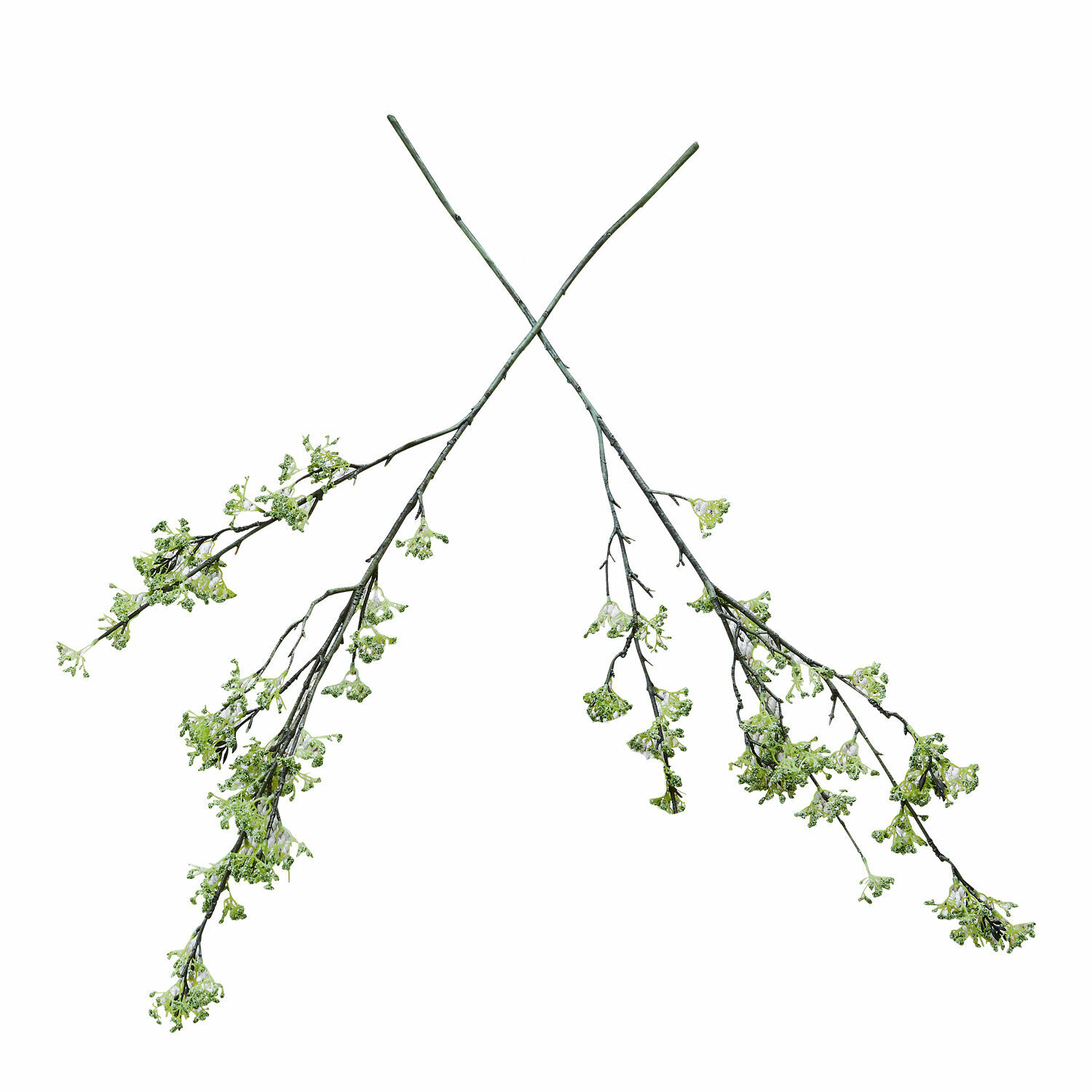 Sierbloem set van 2 Mormant Twee groene takken met fijne bloemen op witte achtergrond voor interieurdecoratie