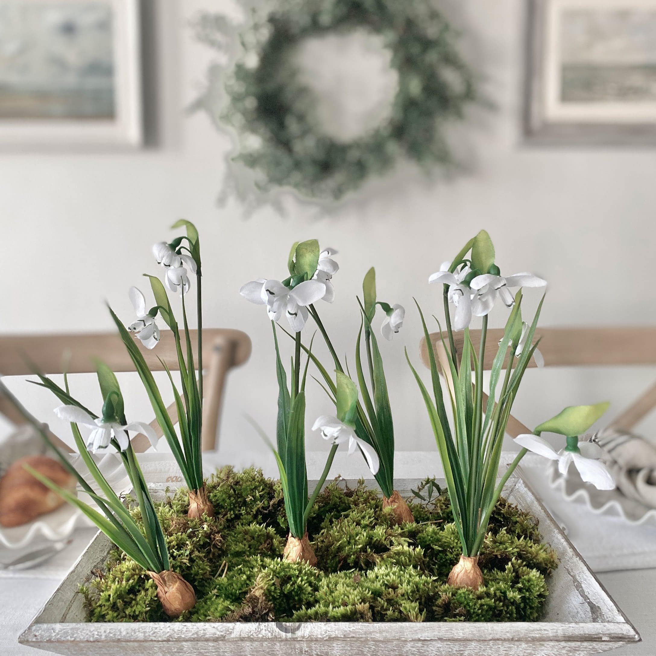 Witte sneeuwklokjes met groene bladeren op mos in een decoratieve houten bak