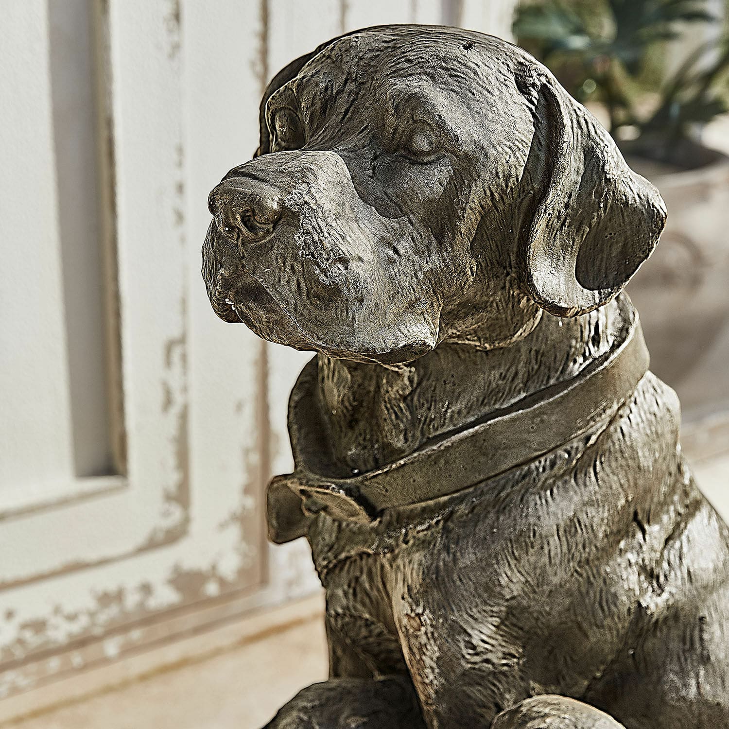 Decoratieve hond Samiran