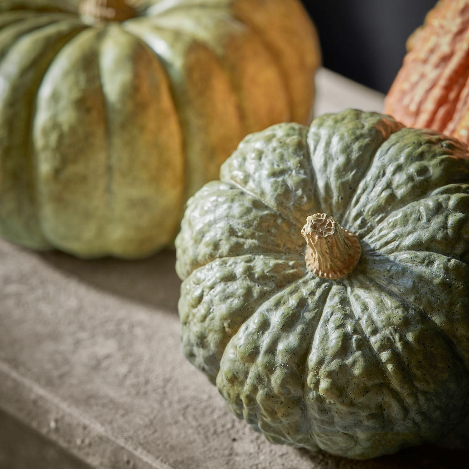 Sierpompoen set van 3 Raliven