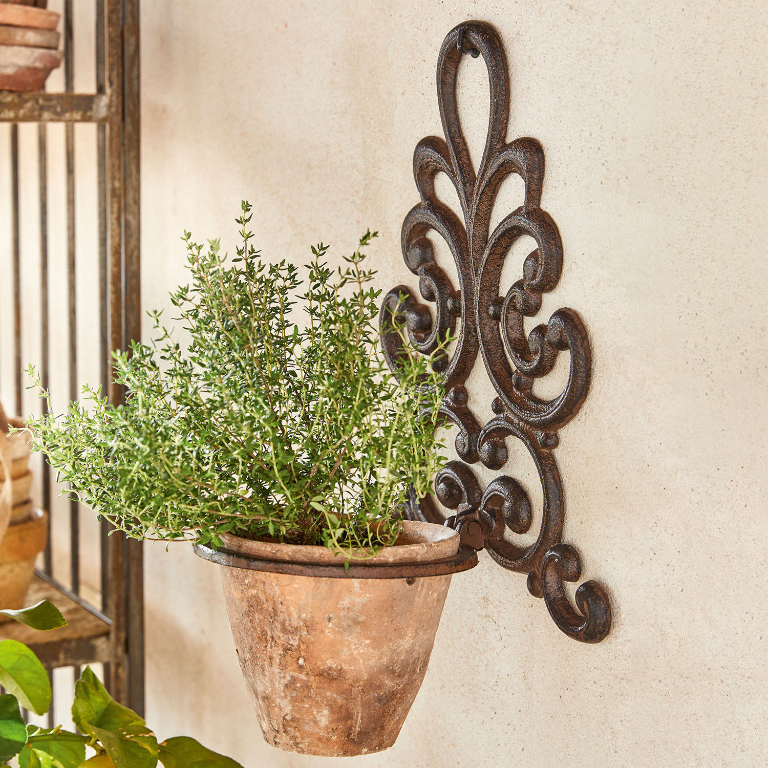 Bloempothouder Cecile Rustieke terracotta bloempot aan decoratieve metalen wandhouder voor kruiden en planten.