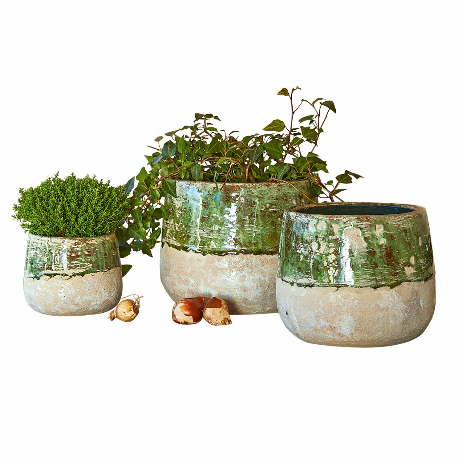 Sierpot set van 3 Reefton Set van drie keramische bloempotten in groen-beige met planten en bloembollen