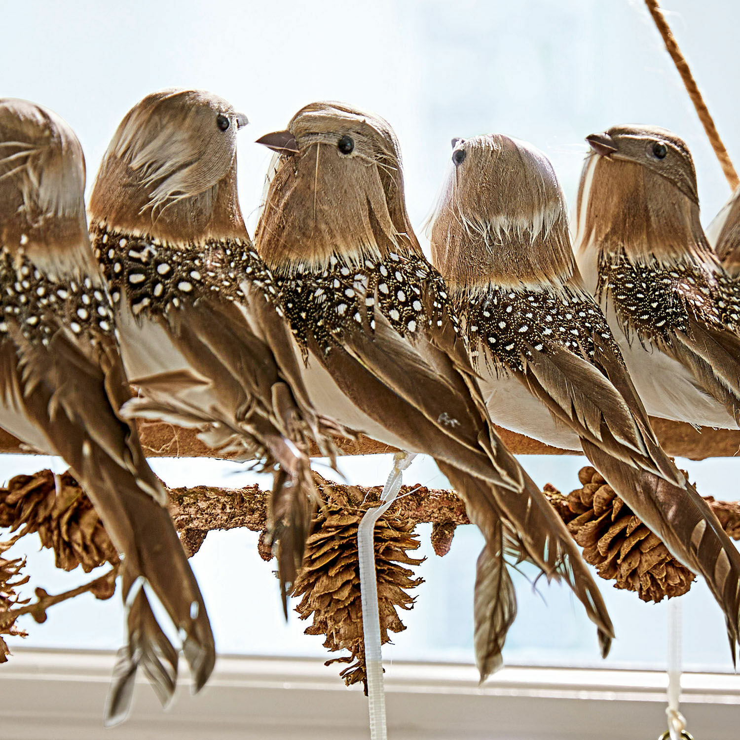 Tak met vogeltjes Orely