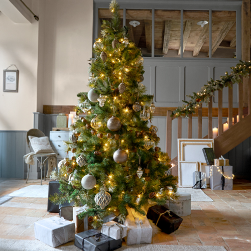 Bomen & boomdecoratie