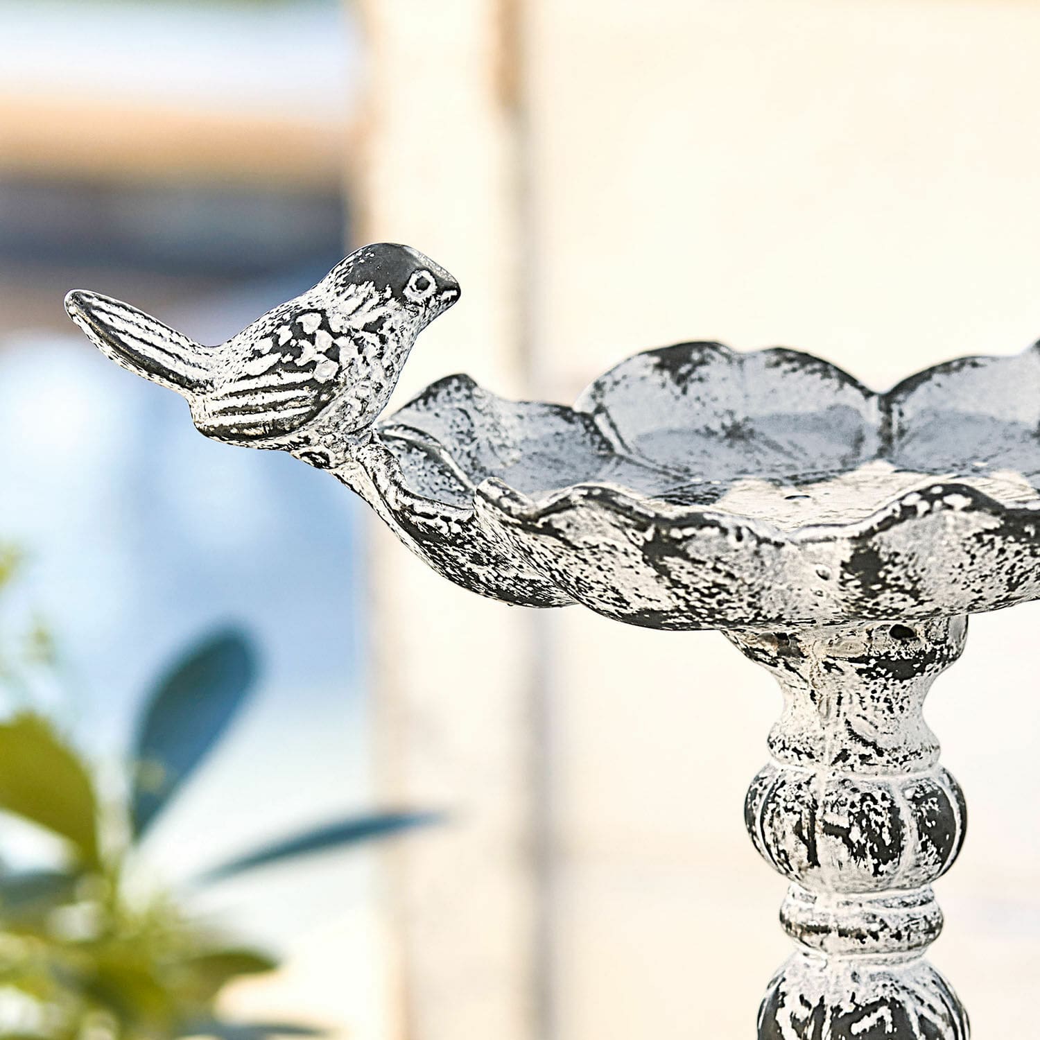 Vogeldrinkschaal Petrofani