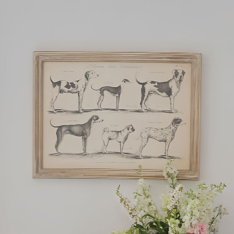 In lijst gezette tekening van zes hondenrassen in zwart-wit aan de muur met bloemen ervoor
