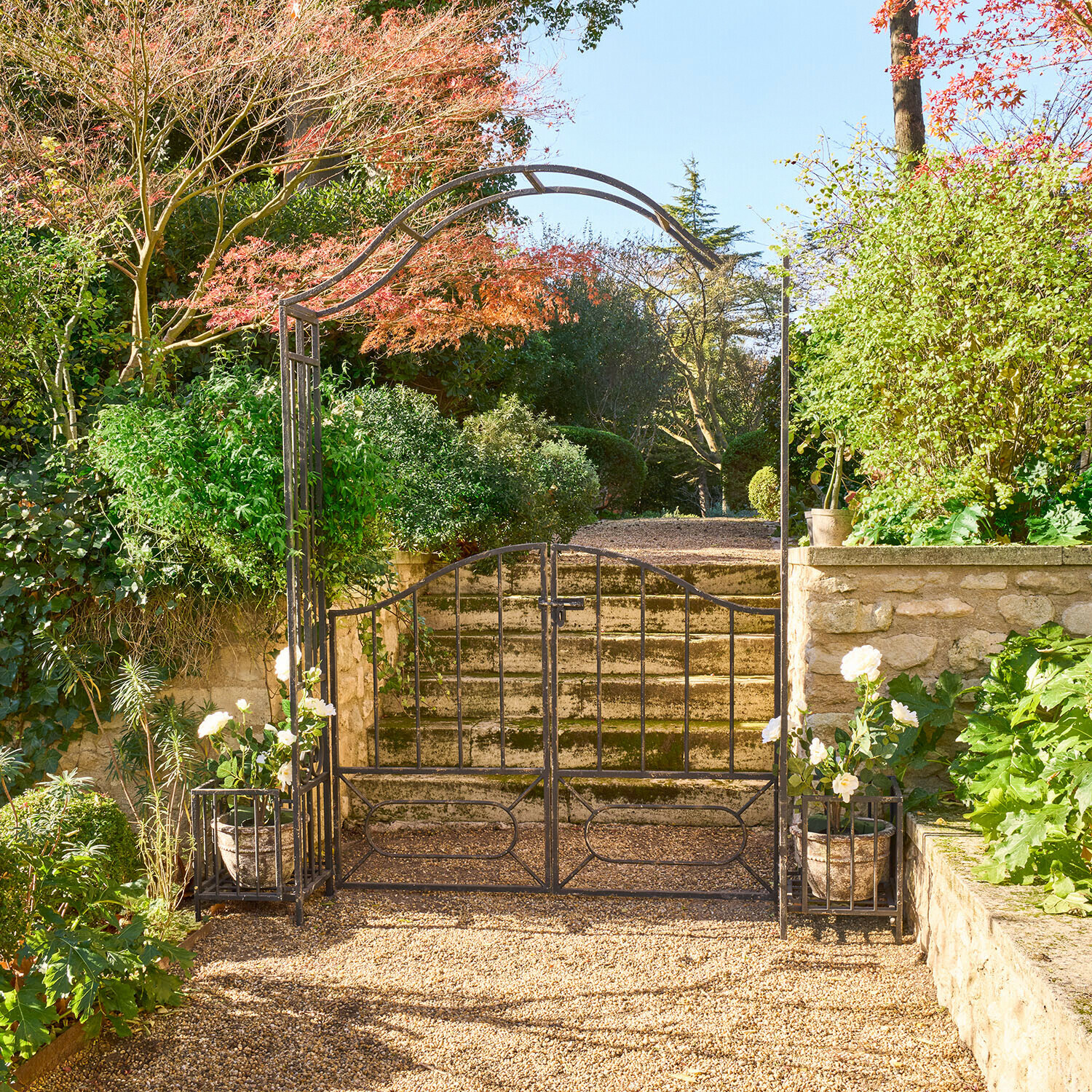Zwarte metalen tuinpoort met boog en potten met witte bloemen op zonnig grindpad