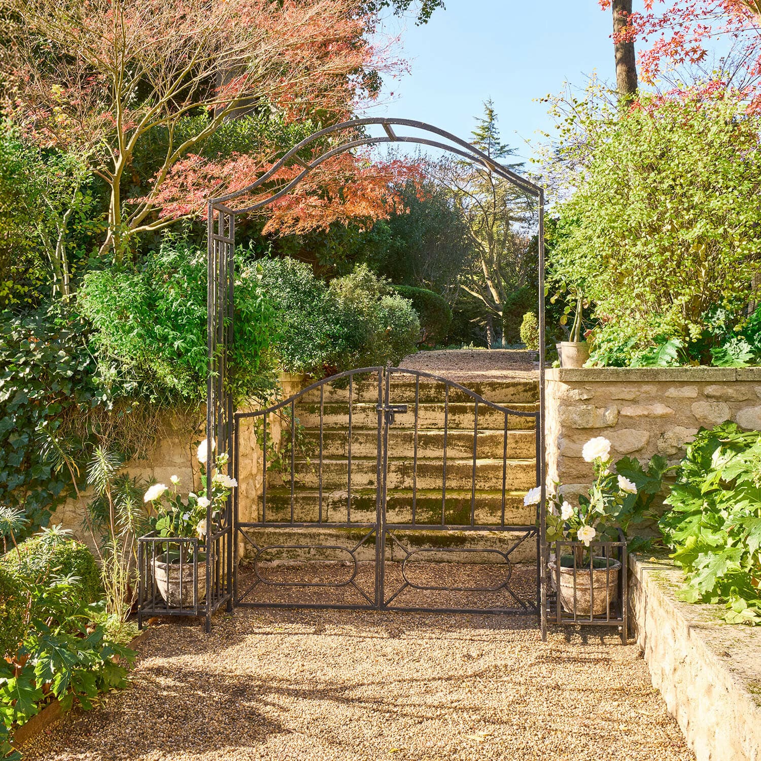 Rozenboog Donnérie Decoratieve metalen tuinpoort met boog en potten met witte bloemen voor stenen trap en groenblijvende planten