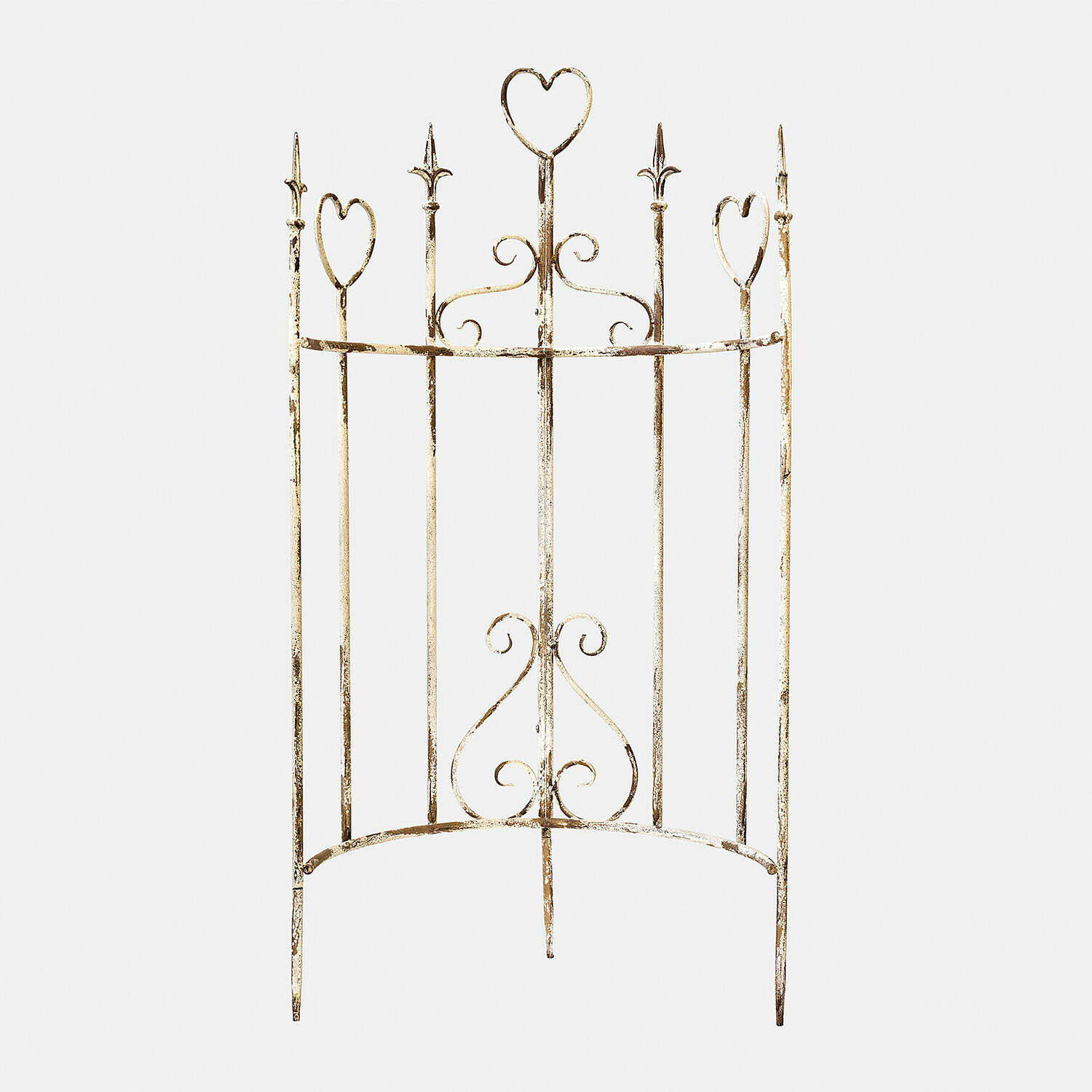 Klimplantenrek Iveralia