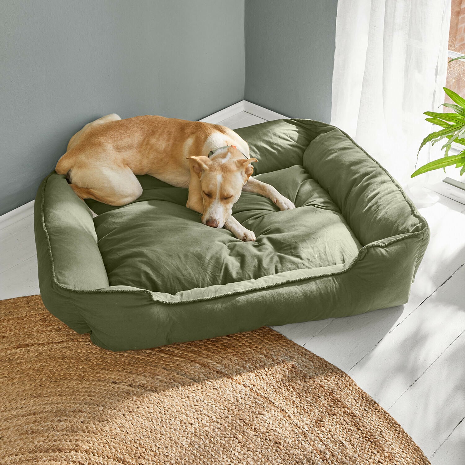 Huisdierenmand Ivandelle