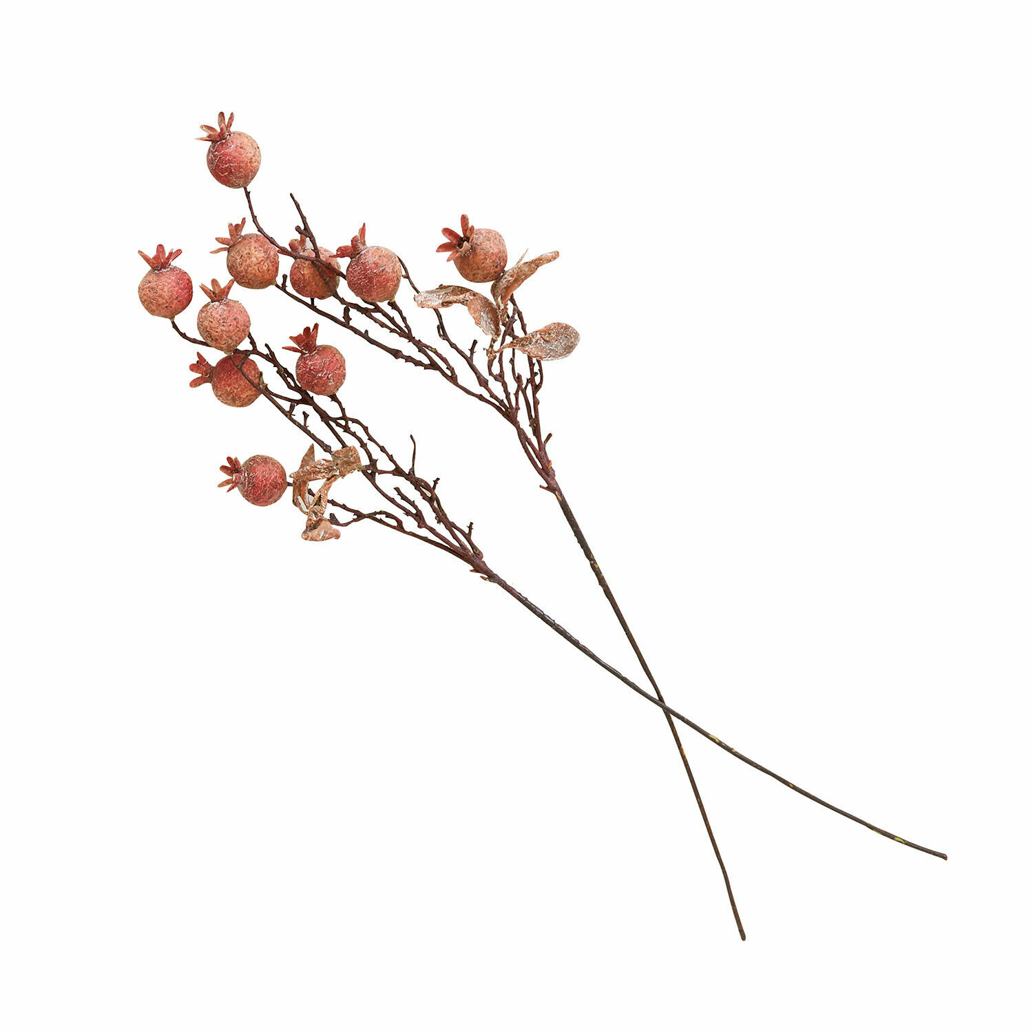 Decoratieve takken met rode granaatappels op lange bruine stelen voor interieurdecoratie
