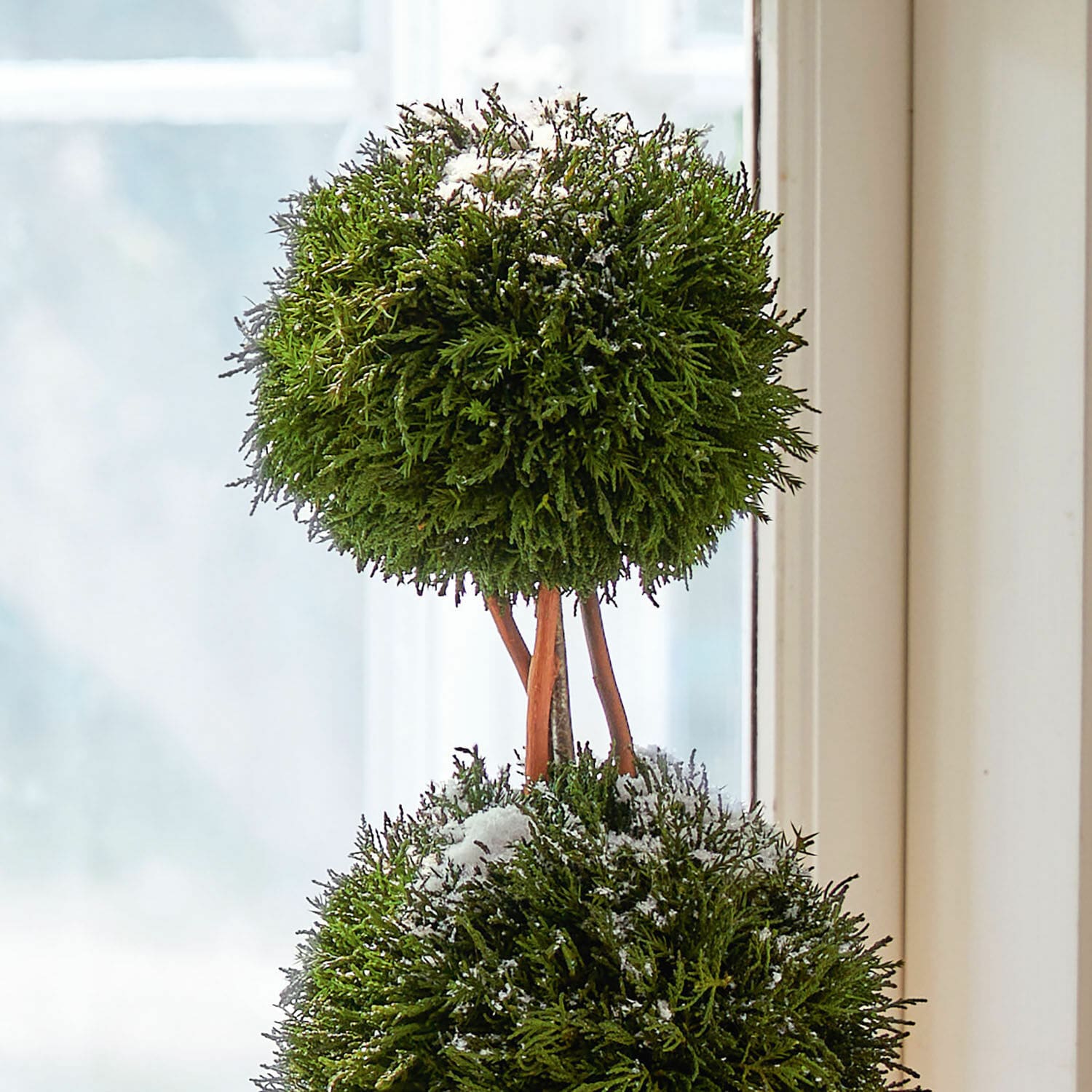 Sierboom set van 2 Barda
