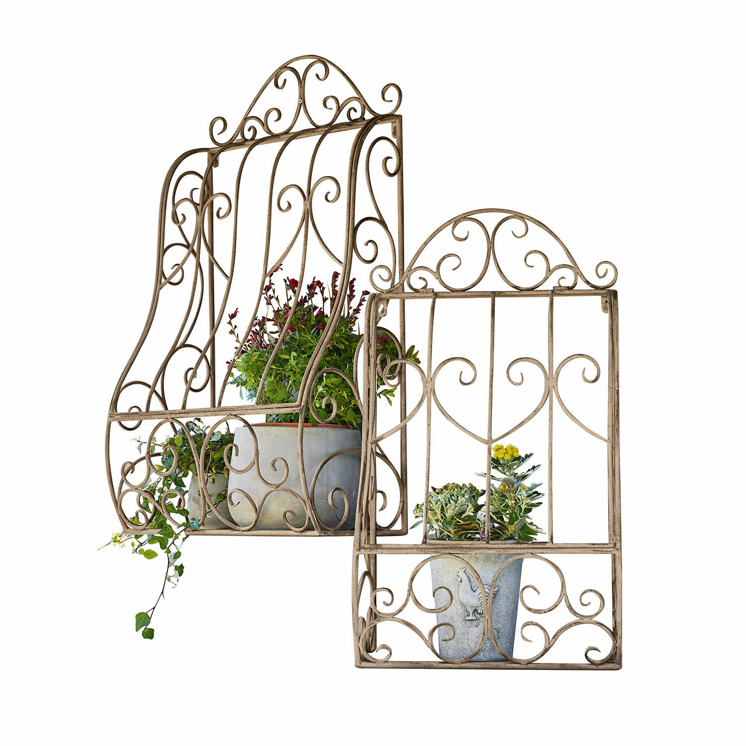 Wandrek set van 2 Alvra Beige metalen decoratief rooster met planten, geschikt voor tuin- en binnenhuisdecoratie