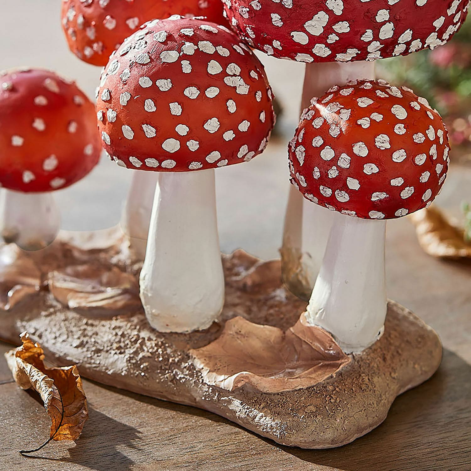 Sierpaddenstoelen Quintelle