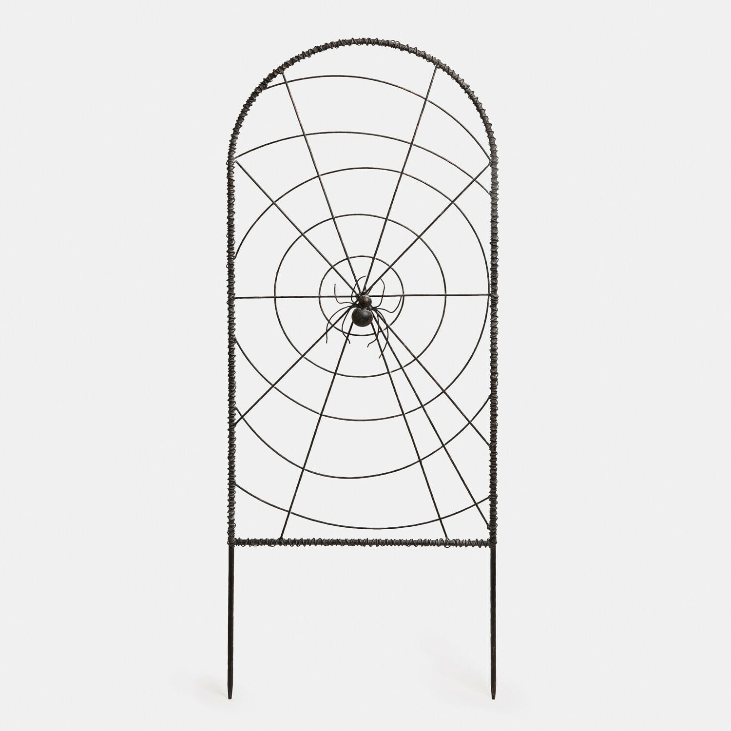 Klimplantenrek Cervixal Metalen tuindecoratie in de vorm van een spinnenweb met zwarte spin, buitenornament