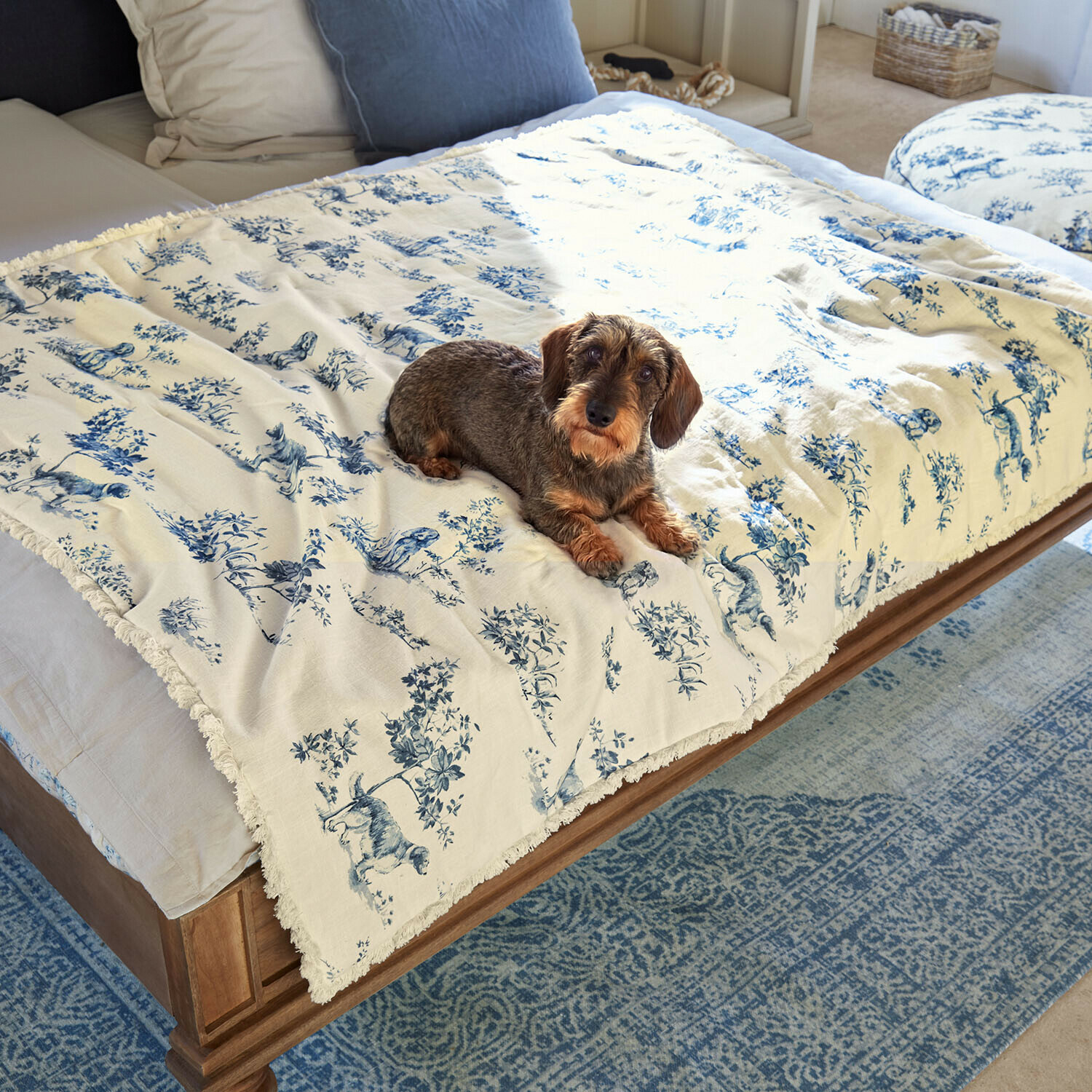 Plaid voor huisdieren Ymélorine Katoenen deken in crème met blauw dierenpatroon op houten bed met teckel