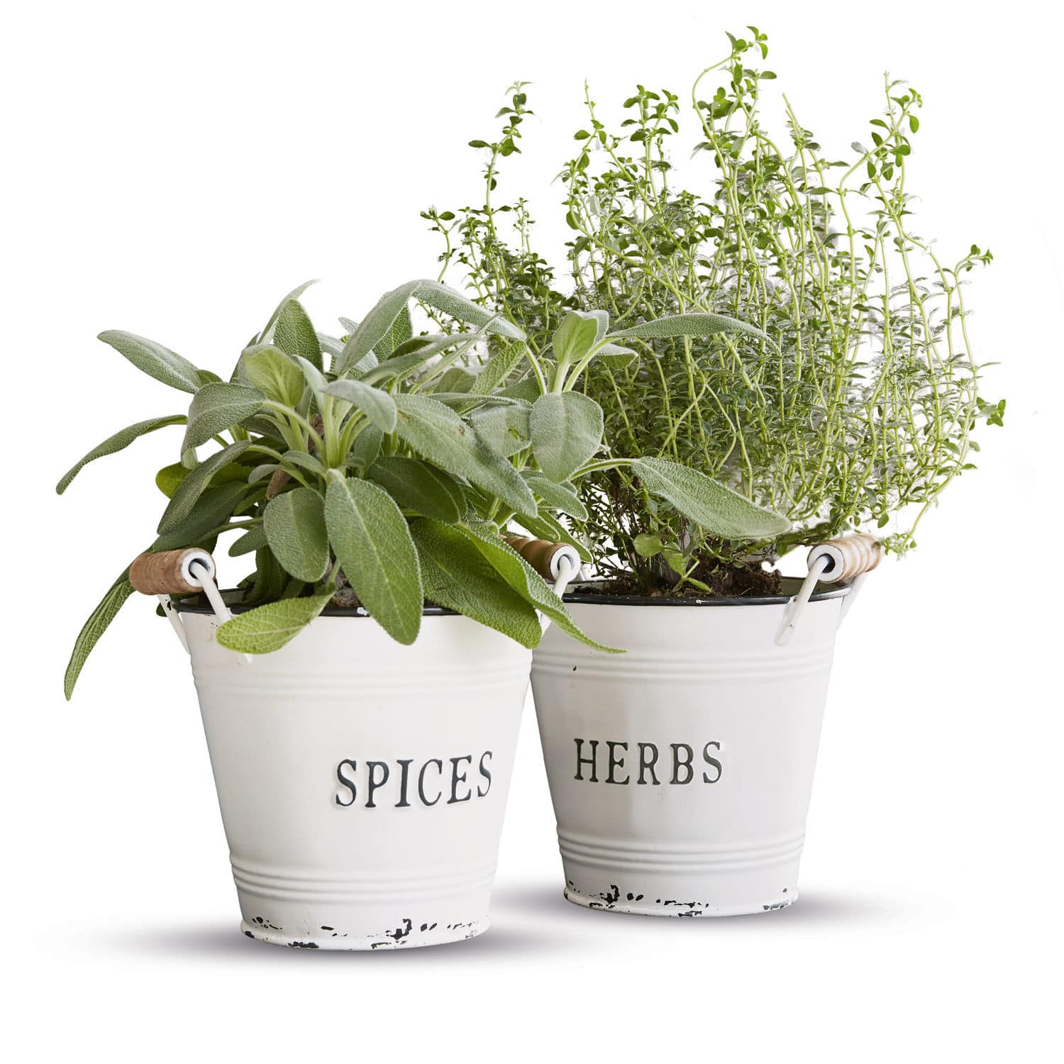 Pot set van 2 Trevis Witte metalen potten met houten handvatten gevuld met verse kruiden en specerijen voor de keuken