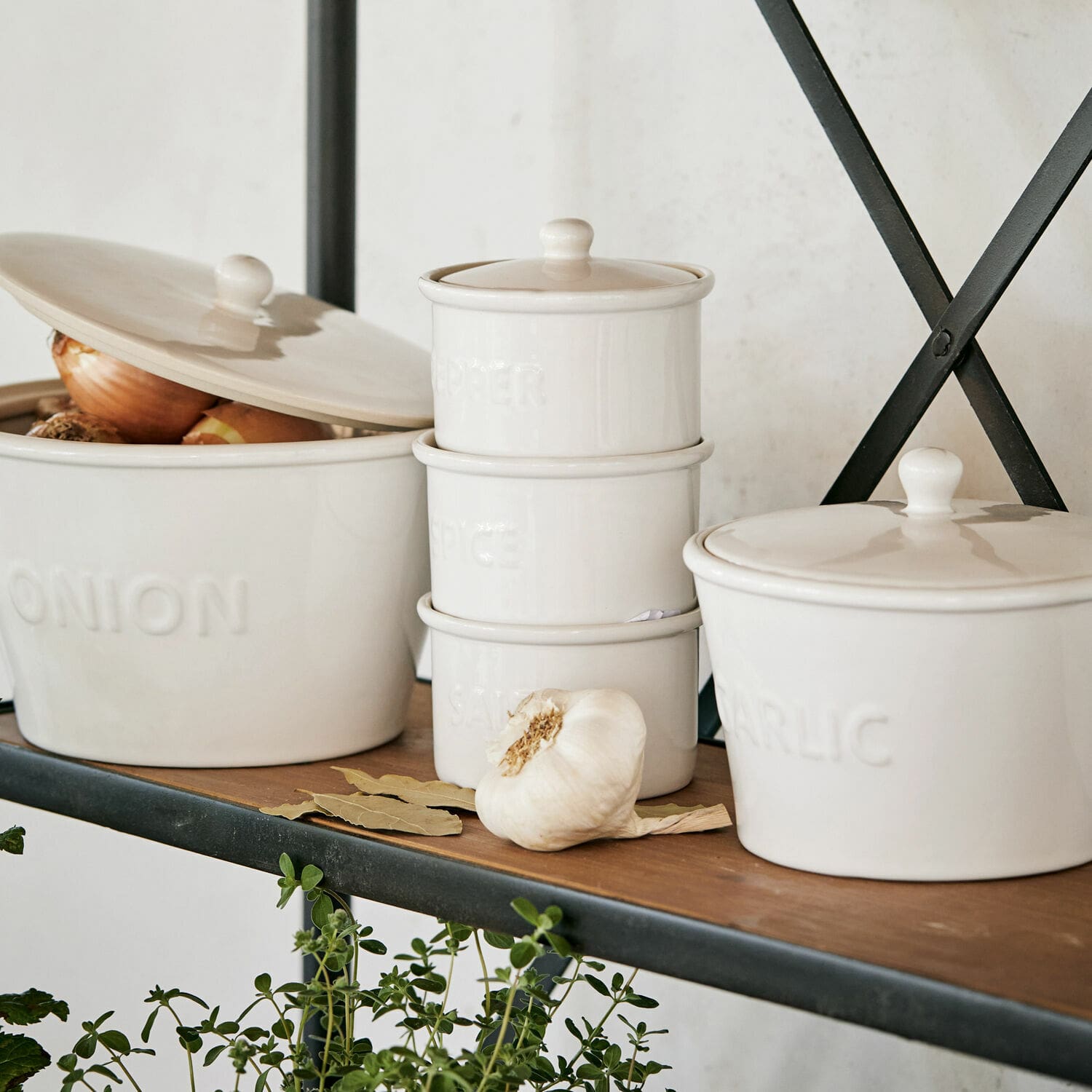 Kruidenpot Mitrovis